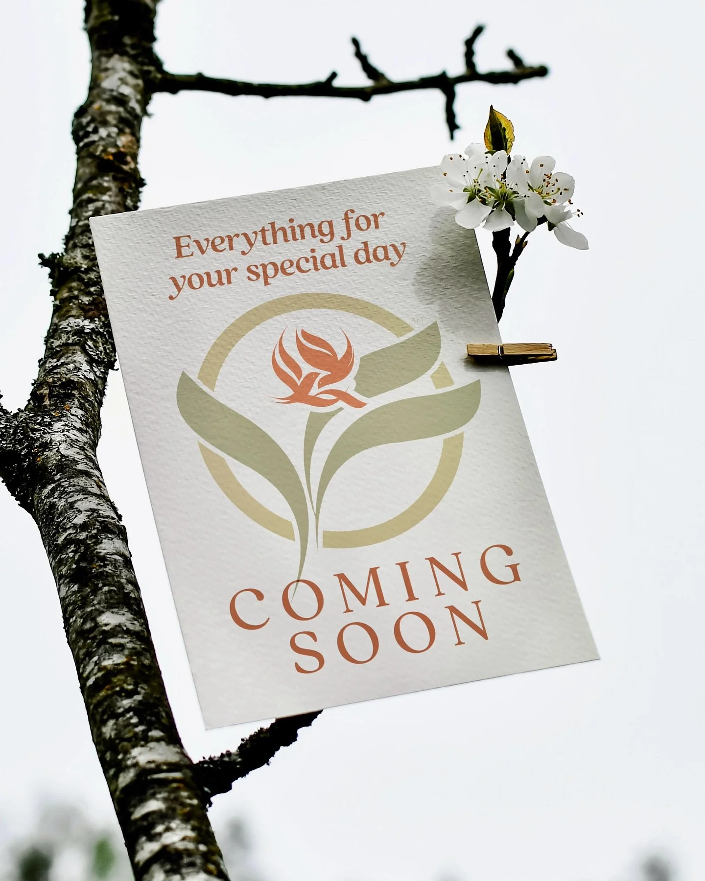 Coming soon: Everything for your special day. #weddings #events #specialevents #mainlinepa #ardmorepa #haverfordpa #brynmawrpa #waynepa #community #shoplocal
#celebration #follow #love