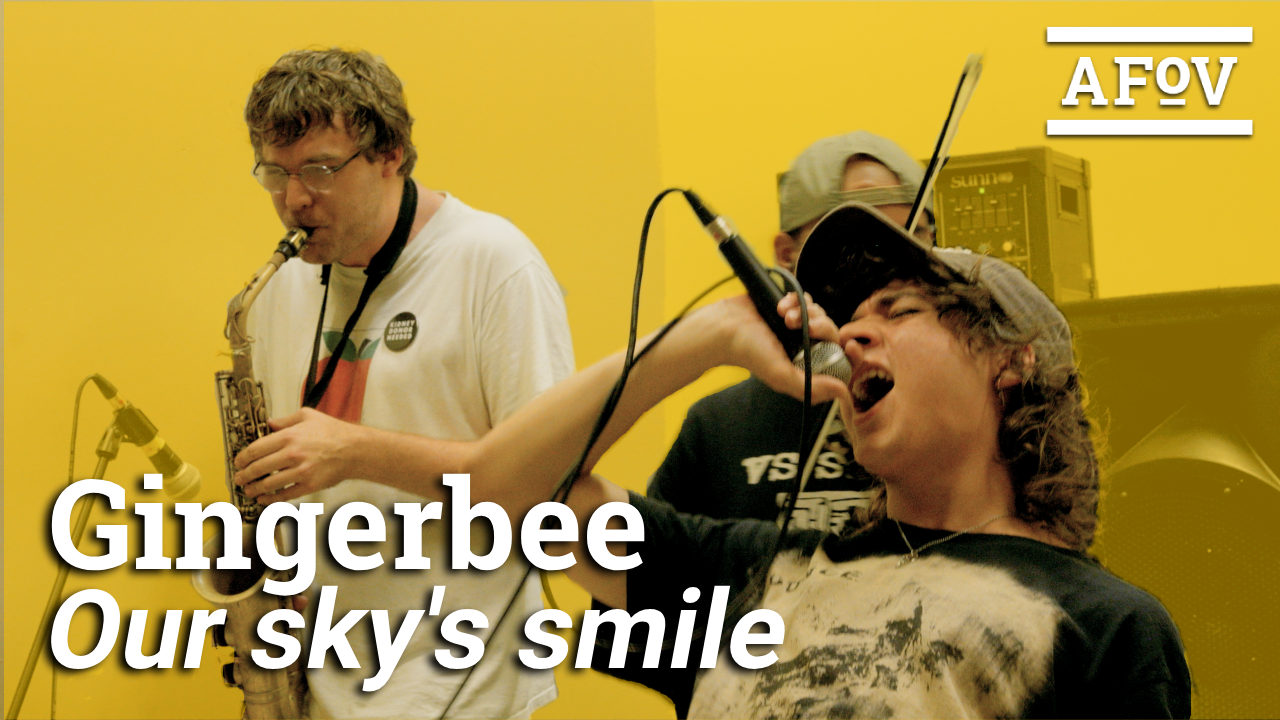 Gingerbee | Our sky's smile