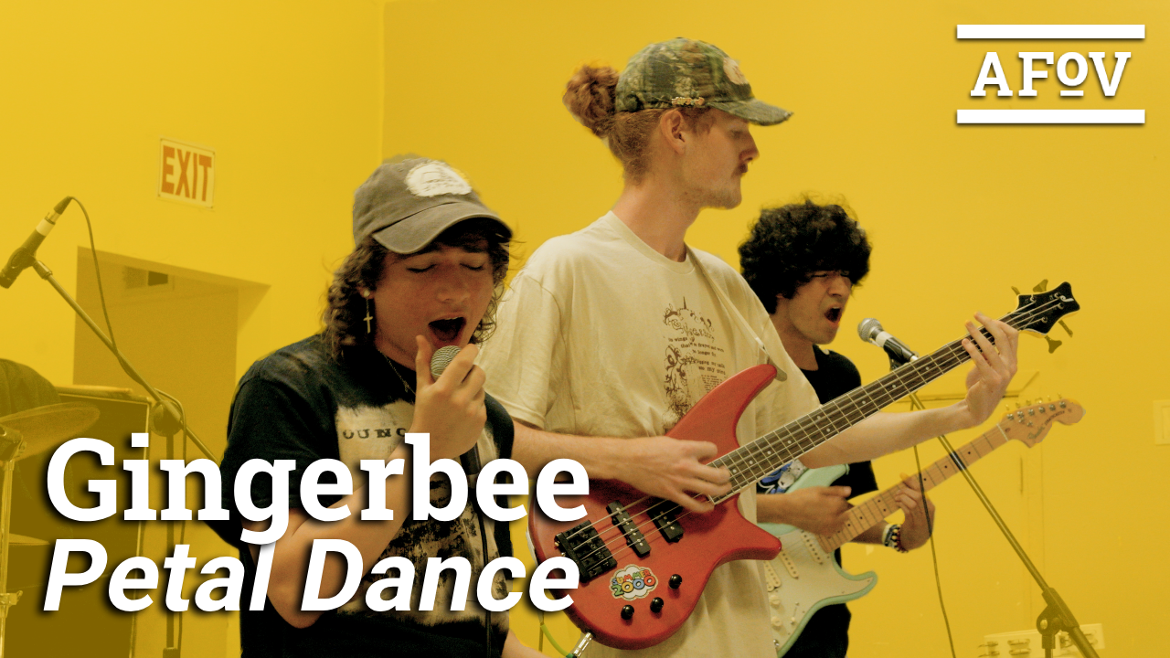 Gingerbee | Petal Dance