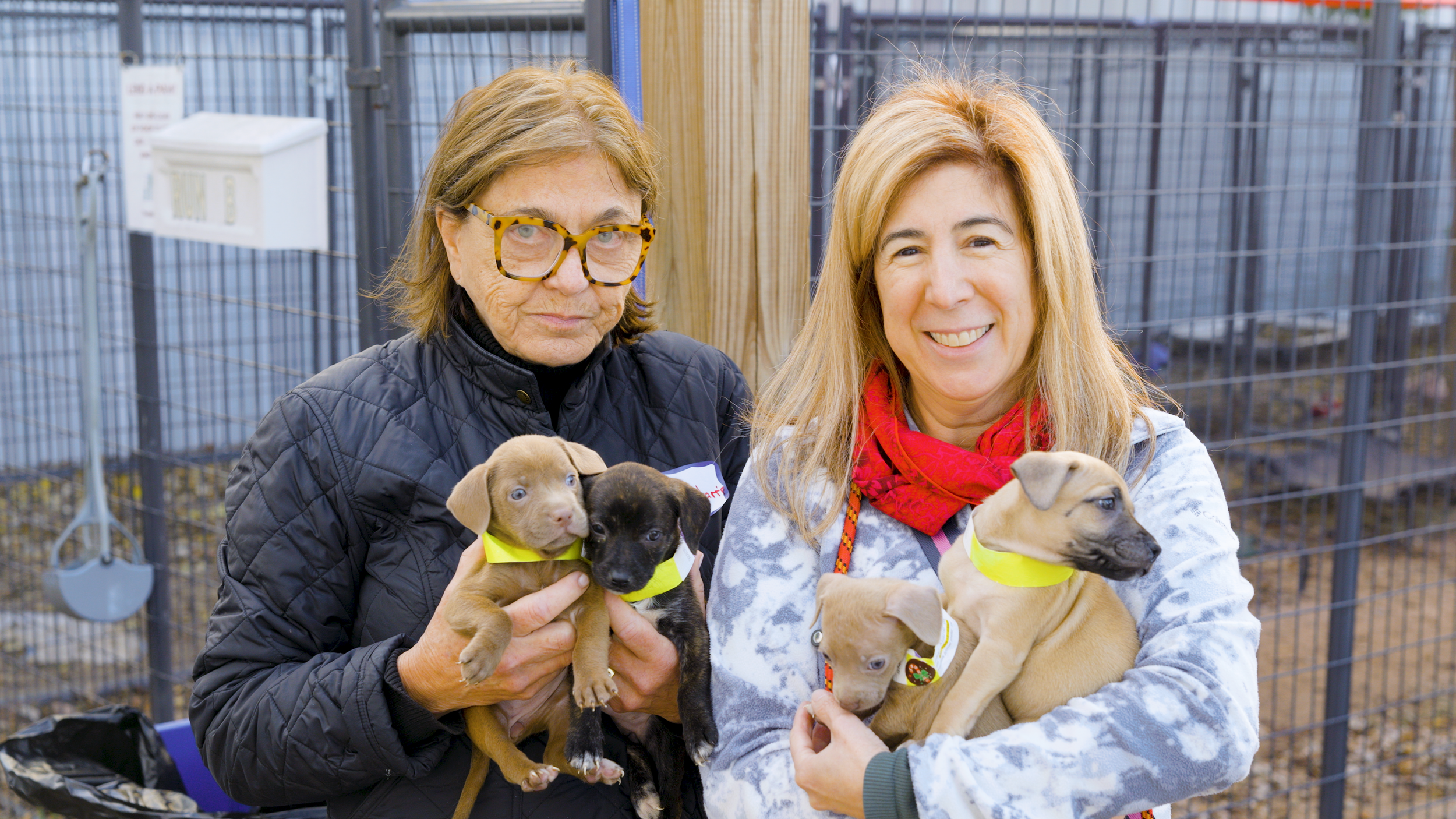 Rescued Pets Movement
