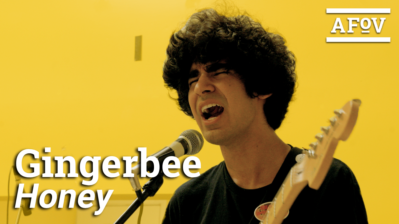 Gingerbee | Honey