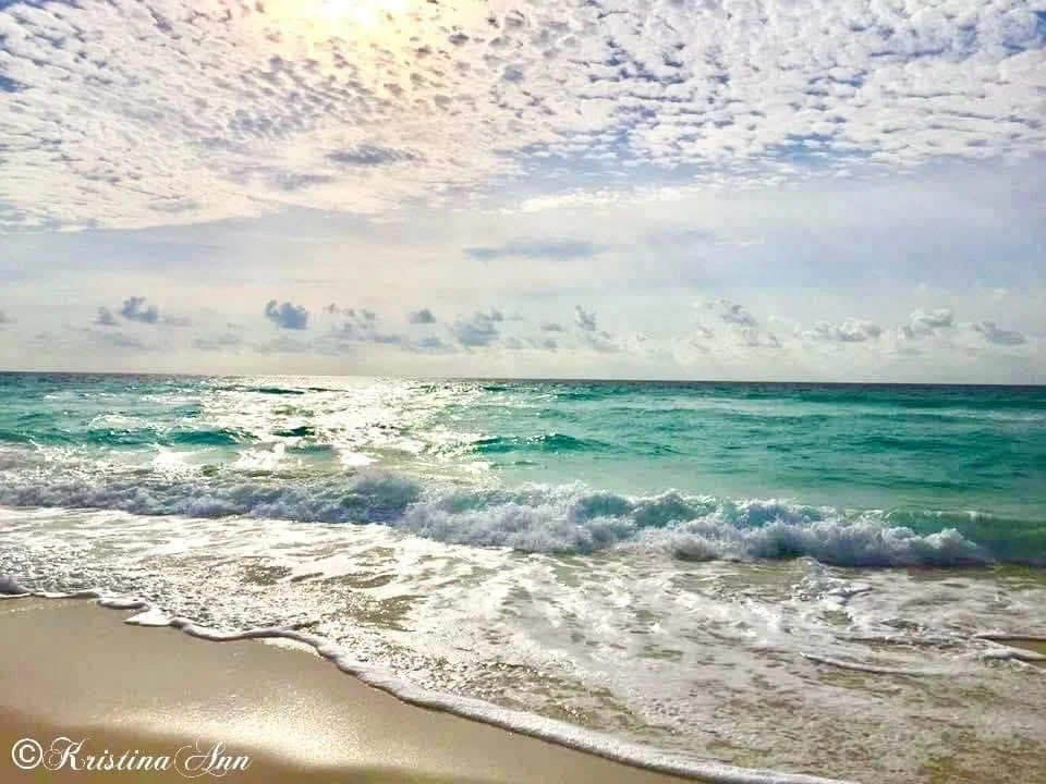 Premium DJ Northh, wearing a white t-shirt with a printed graphic, standing outdoors at a daytime event, with a sophisticated DJ setup and lighting equipment behind him, surrounded by green trees.