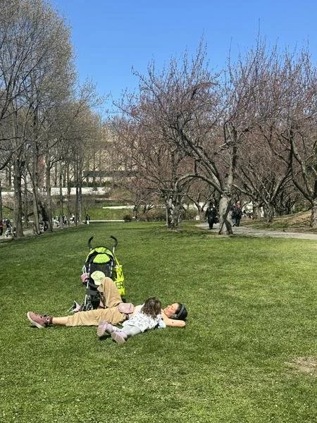 Snoozeletter: Dreaming on Purpose (New Moon in Taurus )