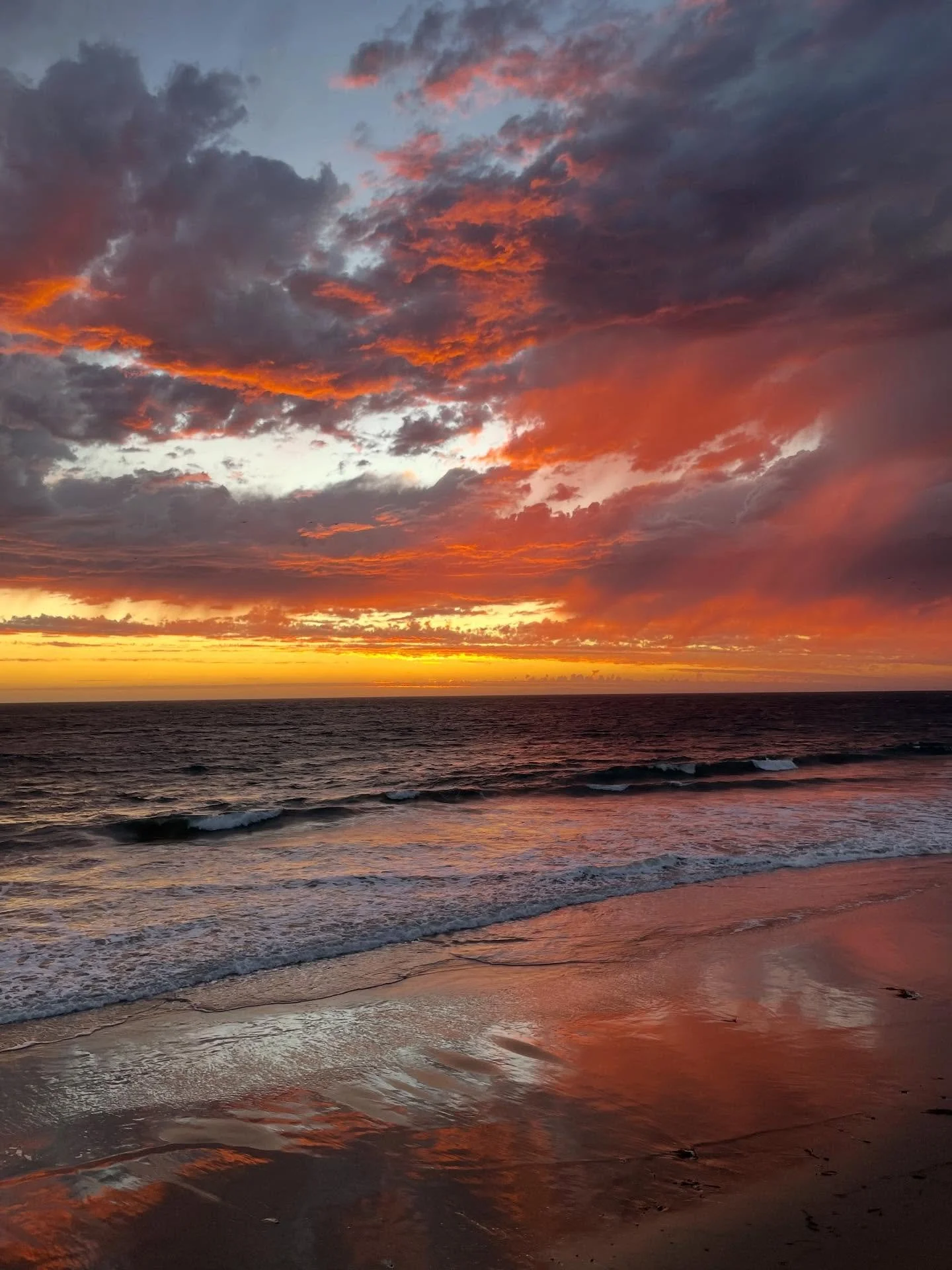 HAPPY *LAST DAY OF ♏︎ SCORPIO SEASON 🌞 EVERYONE! This last day comes with the Scorpio Sun exactly opposing the fantastically wild, liberating and rebellious planet of URANUS 💥 What to do? LET YOUR FREAK FLAG FLY! Do something unplanned! We&rsquo;re