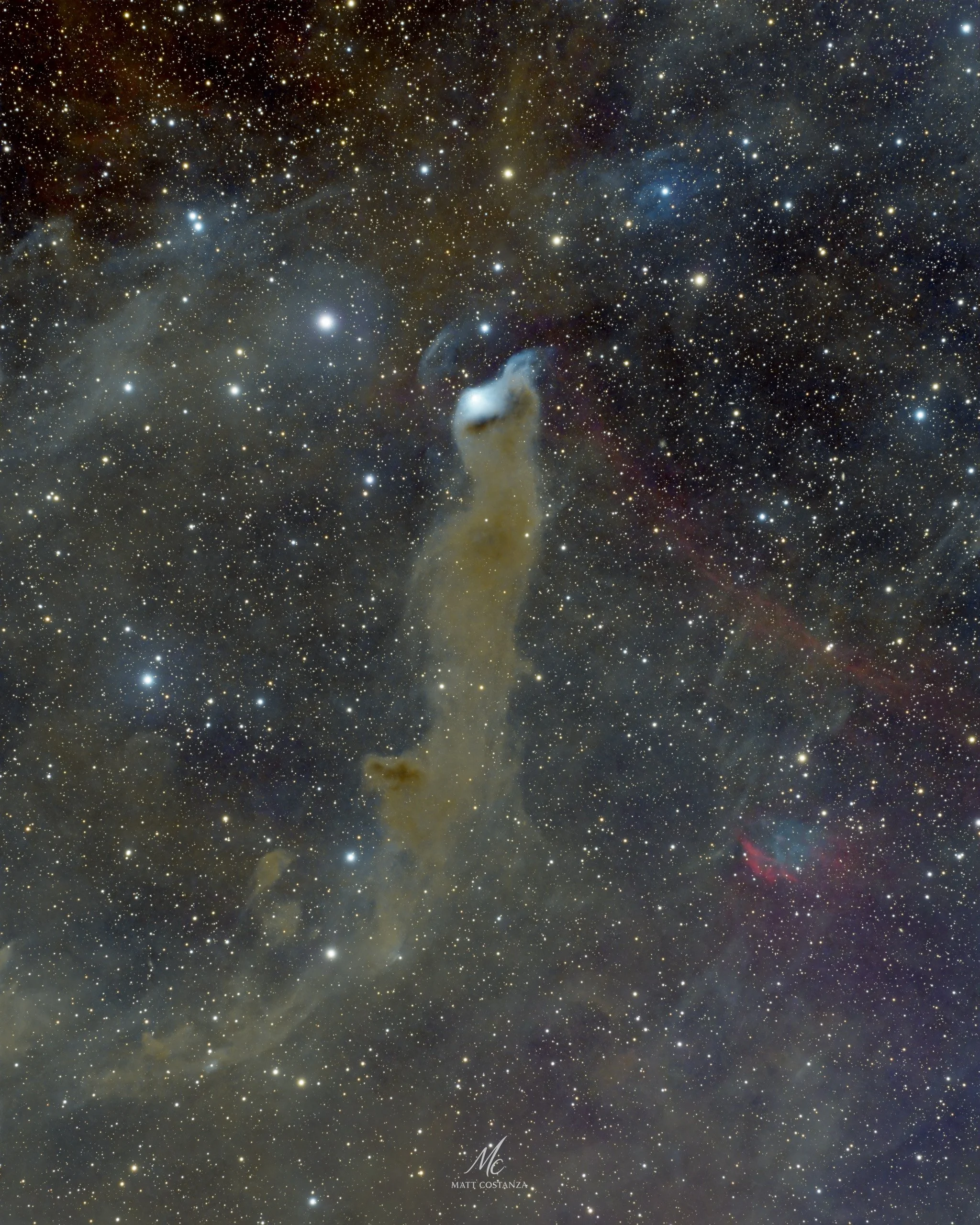 A deep-sky astrophotography image of the Wolf’s Cave Dark Nebula (LDN 1217), showing a tall, wispy column of brown interstellar dust set against a dense star field, with faint blue reflection nebulae and subtle red emission patches in the surrounding