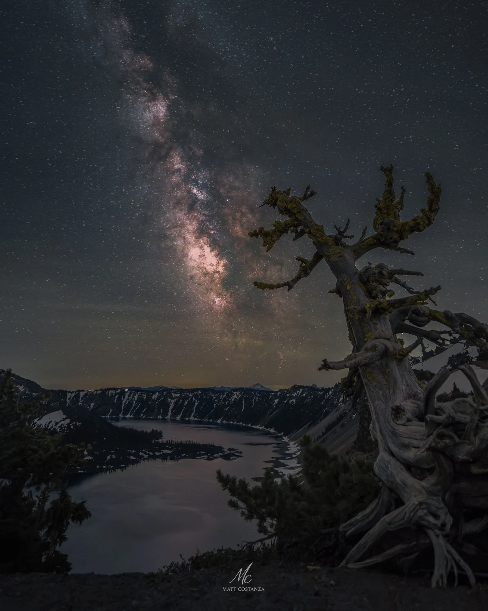Silhouetted pine tree on Crater Lake rim under the Milky Way, Oregon
