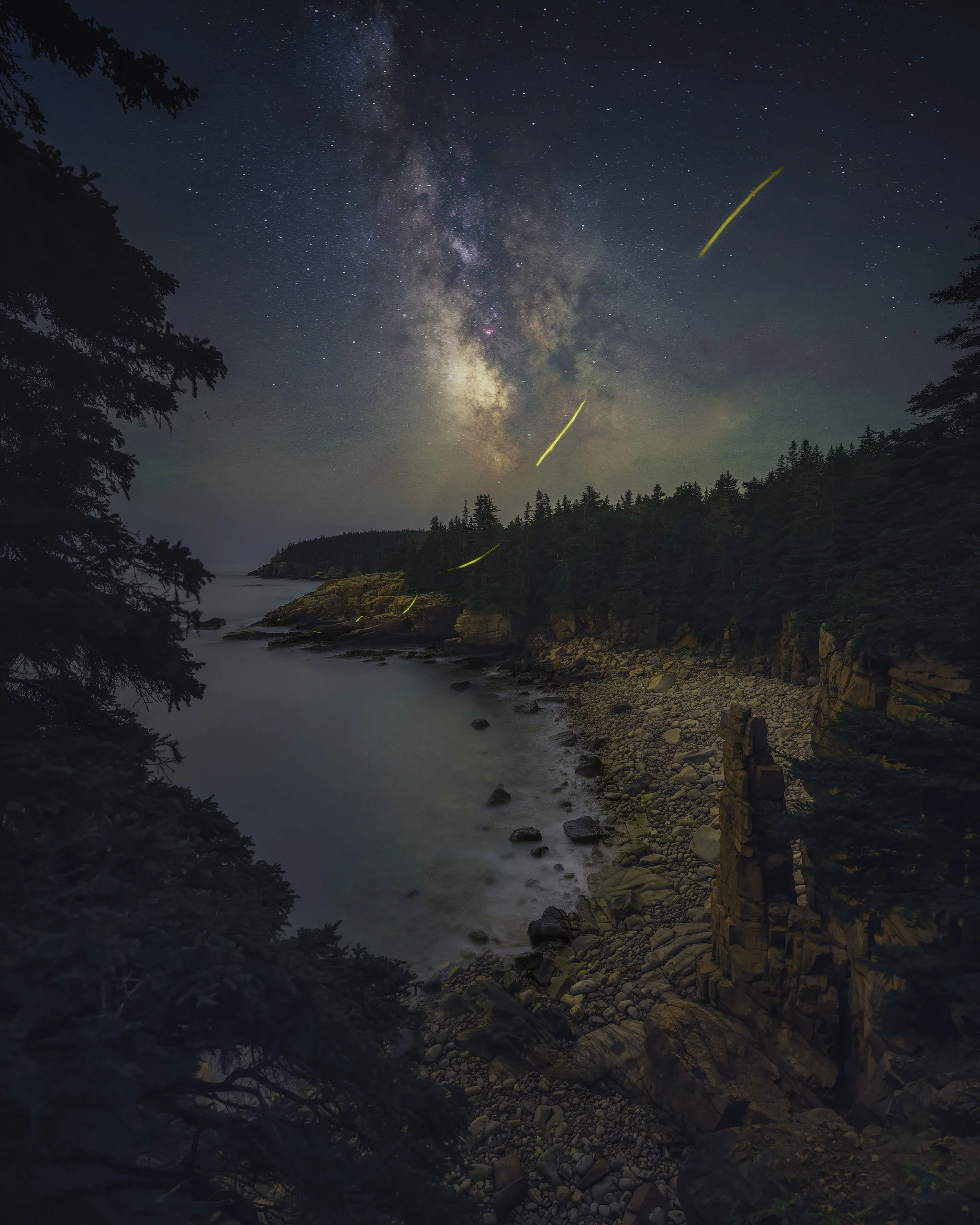 Milky Way over Monument Cove in Acadia National Park, Maine, with glowing fireflies above the rocky coastline and pine trees at night, photographed by Matt Costanza.