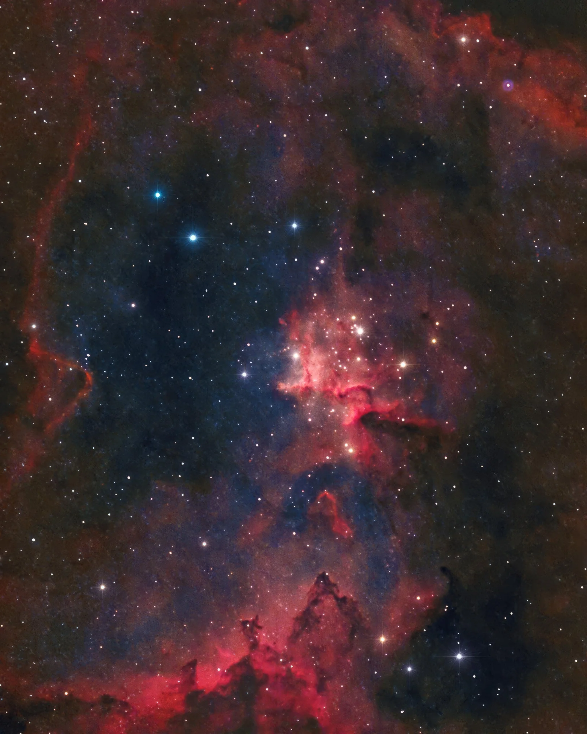 Astrophotograph of Melotte 15, a brilliant star cluster within the Heart Nebula (IC 1805), captured by Matt Costanza—featuring vibrant red emission nebulae, dark dust lanes, and luminous stars in deep space.