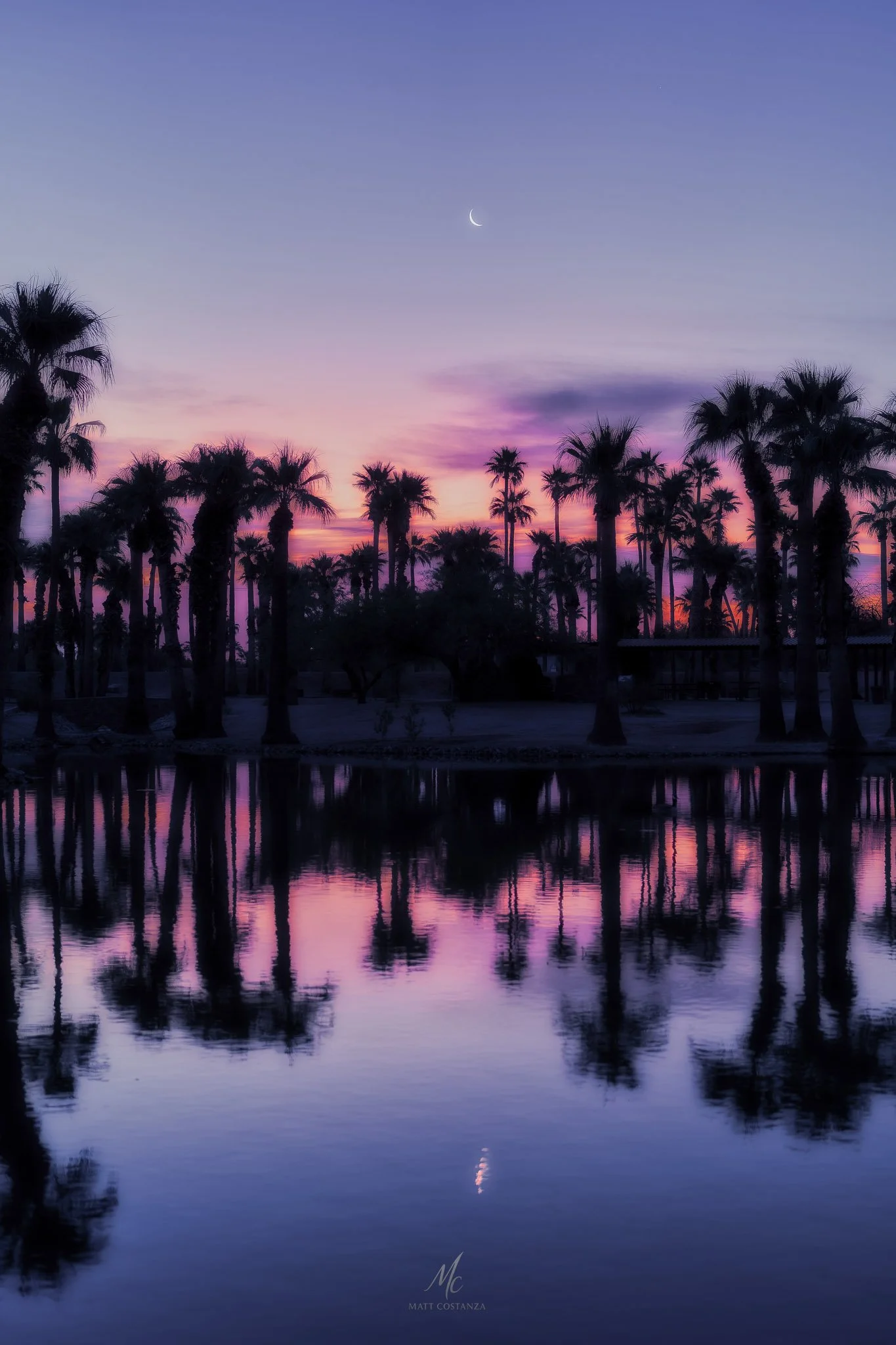 The crescent moon rises over palm trees reflected in the lagoon at Papago Park in Phoenix, Arizona, during a pink and blue desert sunrise.