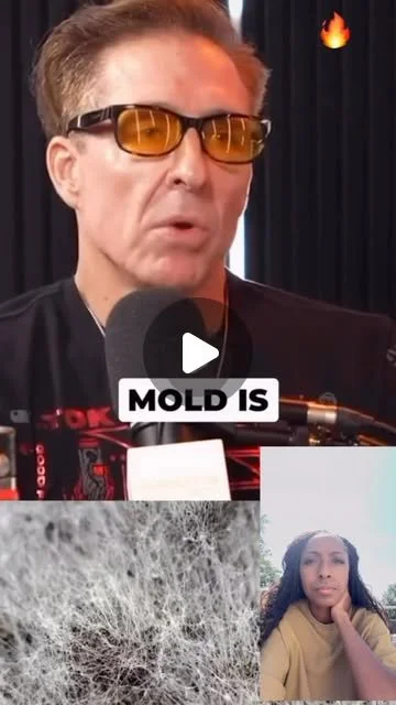 Mold makes Lyme harder to recover from