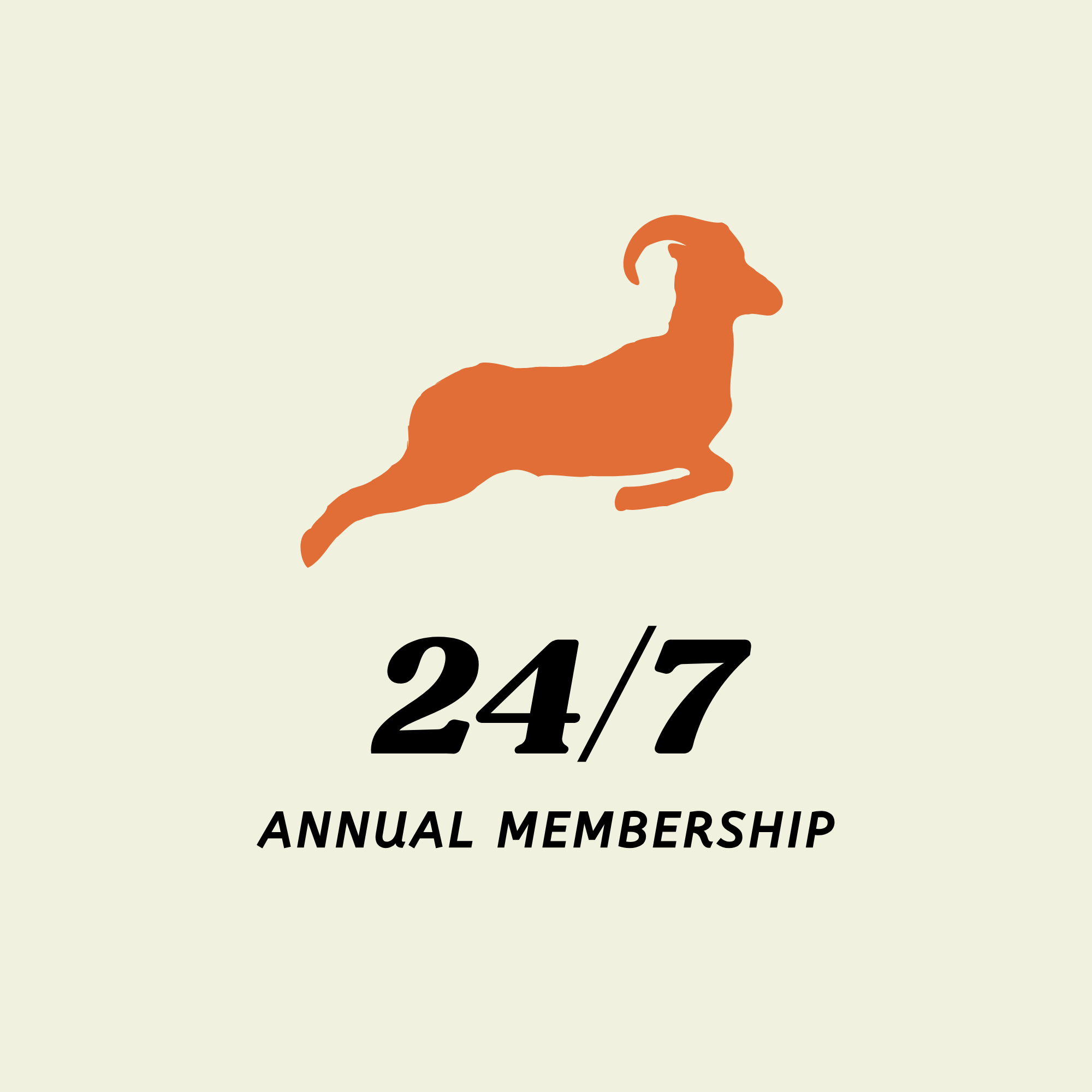 Silver Annual (Monthly Payments) 26'