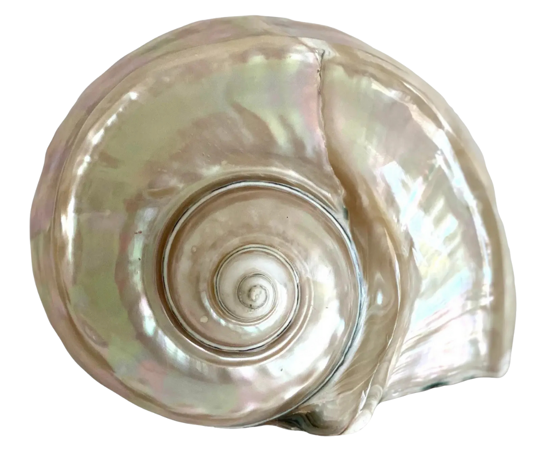 rotate-scroll