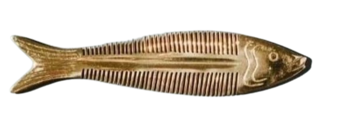 A skeletonized fish with visible bones, fins, and skull.