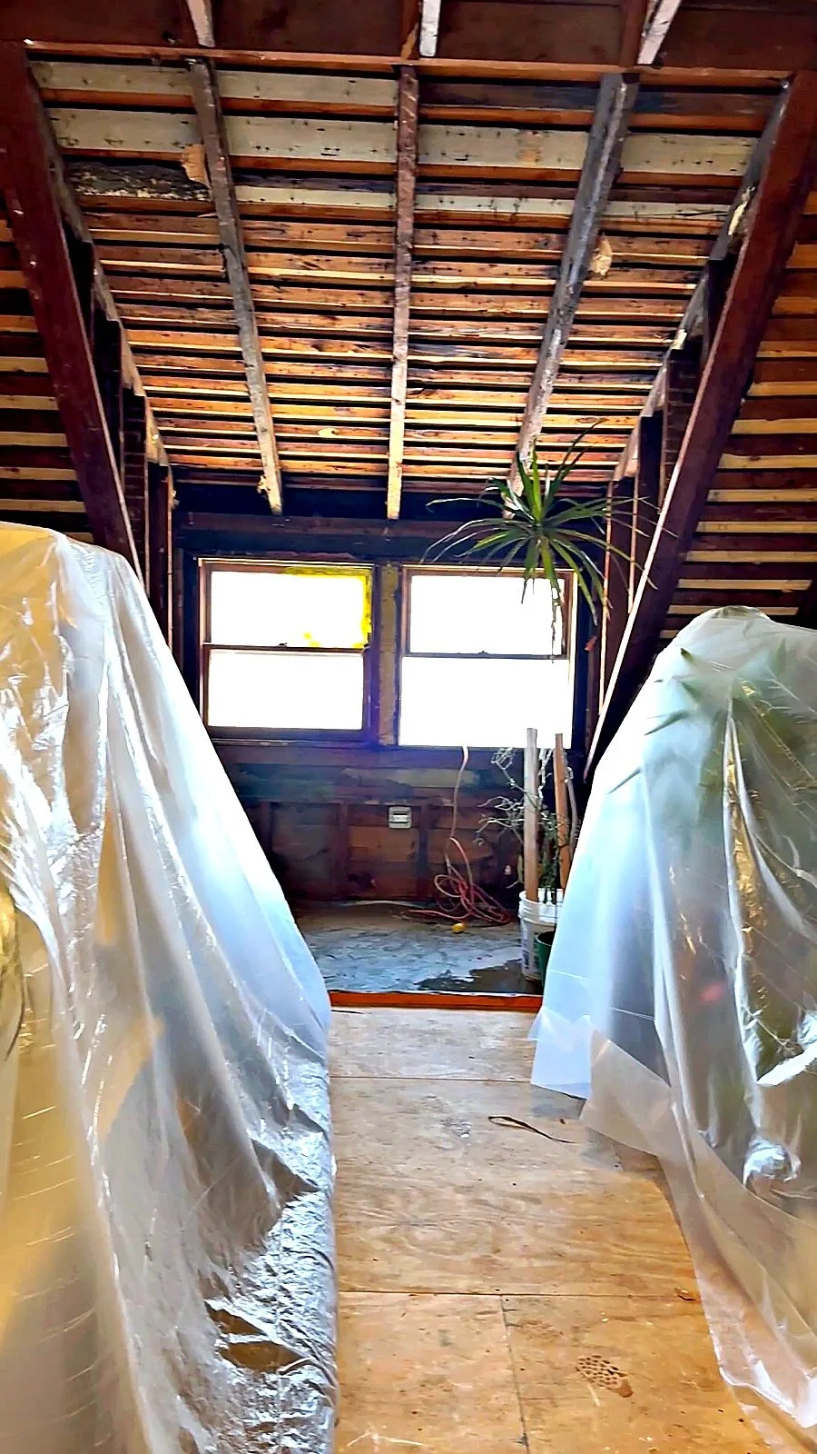 Attic build-out — dust containment and protection in place before demolition