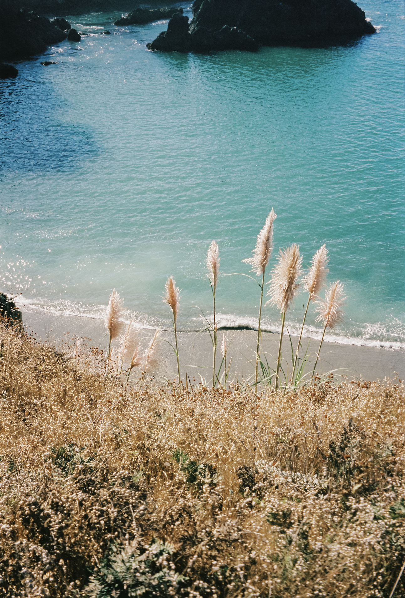 Screenshot 2025-09-29 at 2.22.40 PM.png