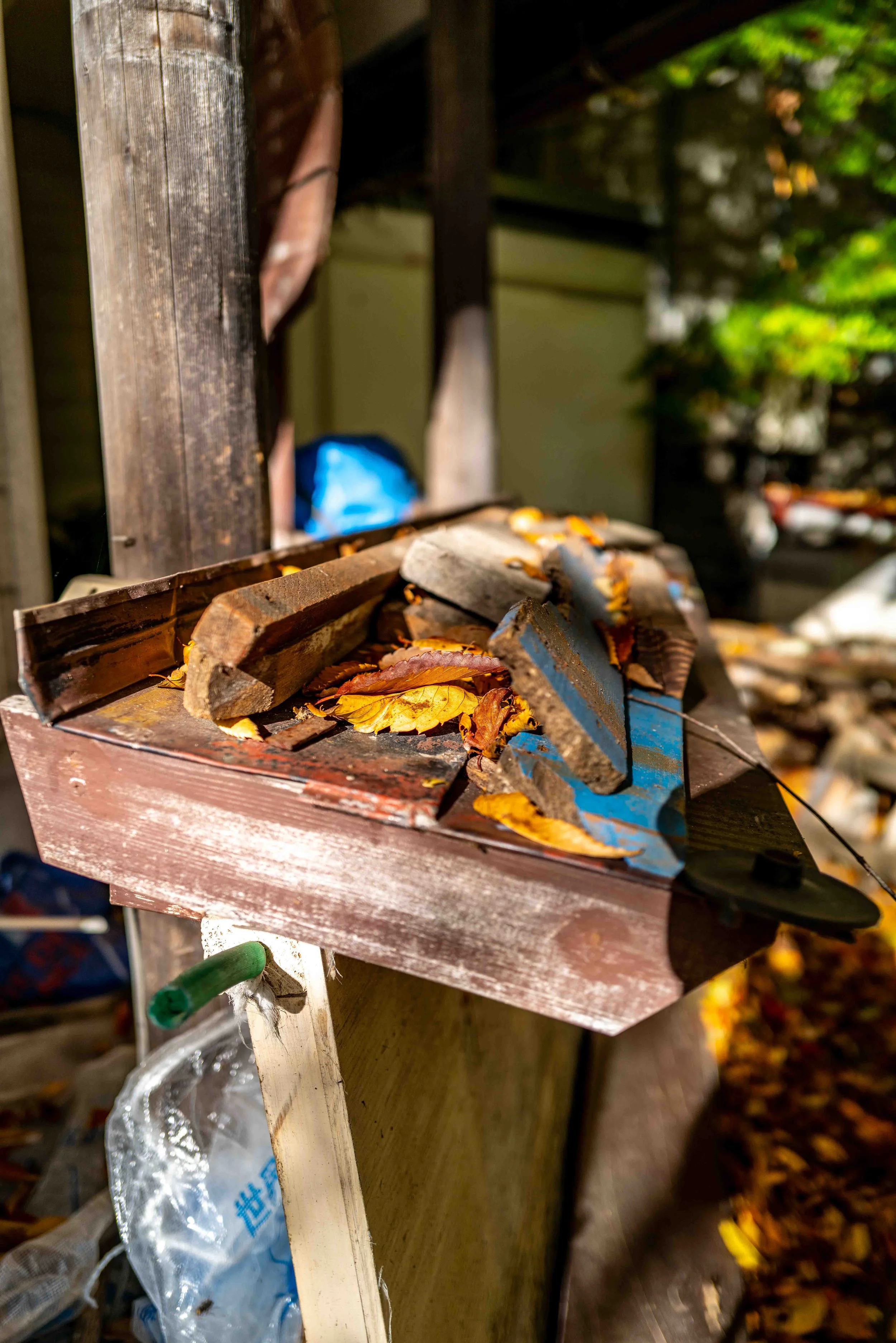 Mt Fuji Lake View 37 Q2.jpg