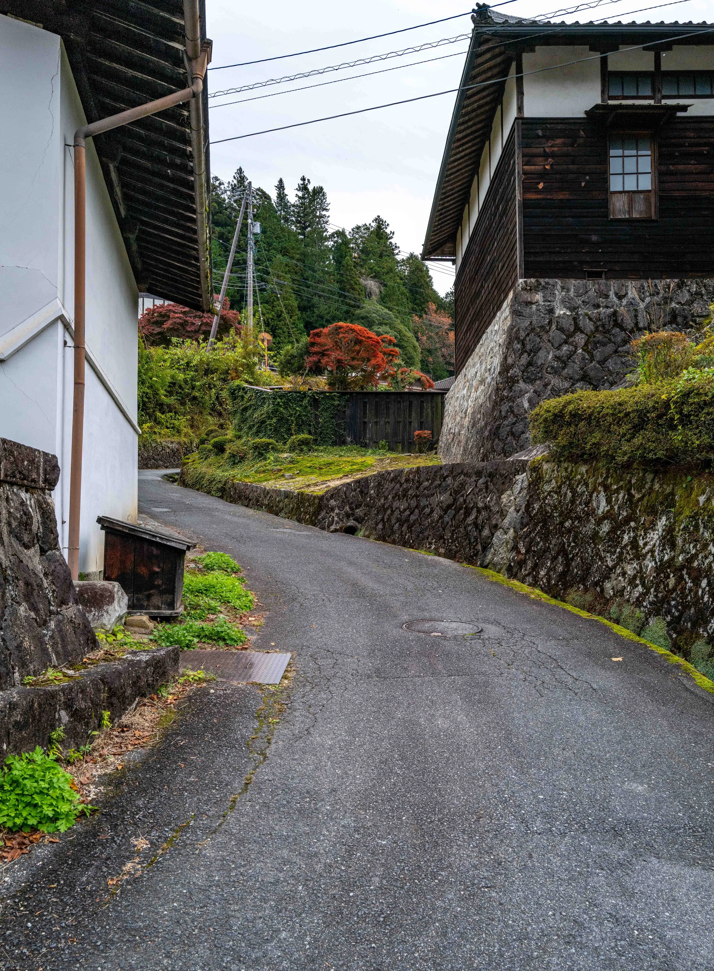 Village mountain 50 Q2.jpg