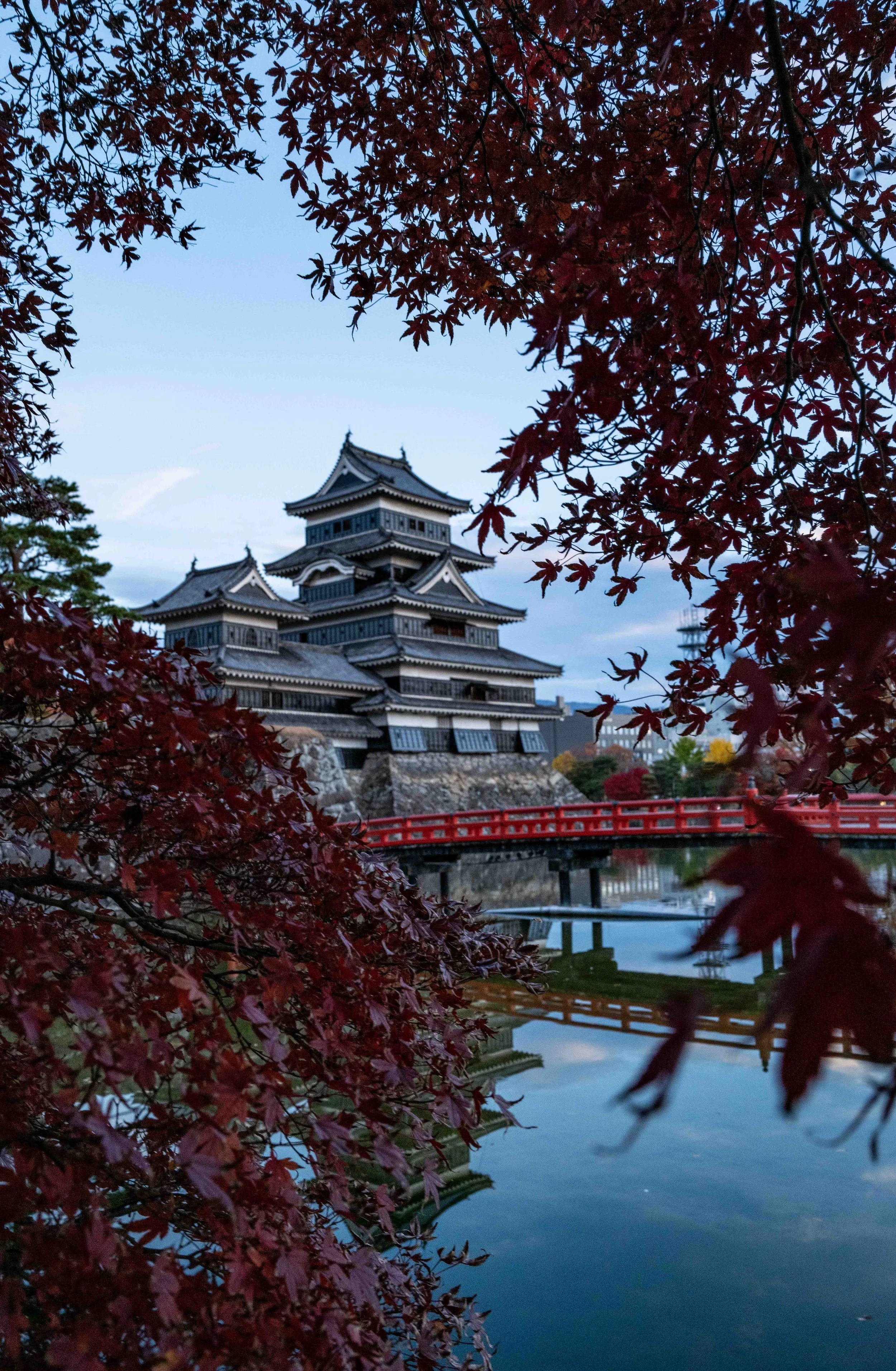 Mato Castle 16+ Q2.jpg