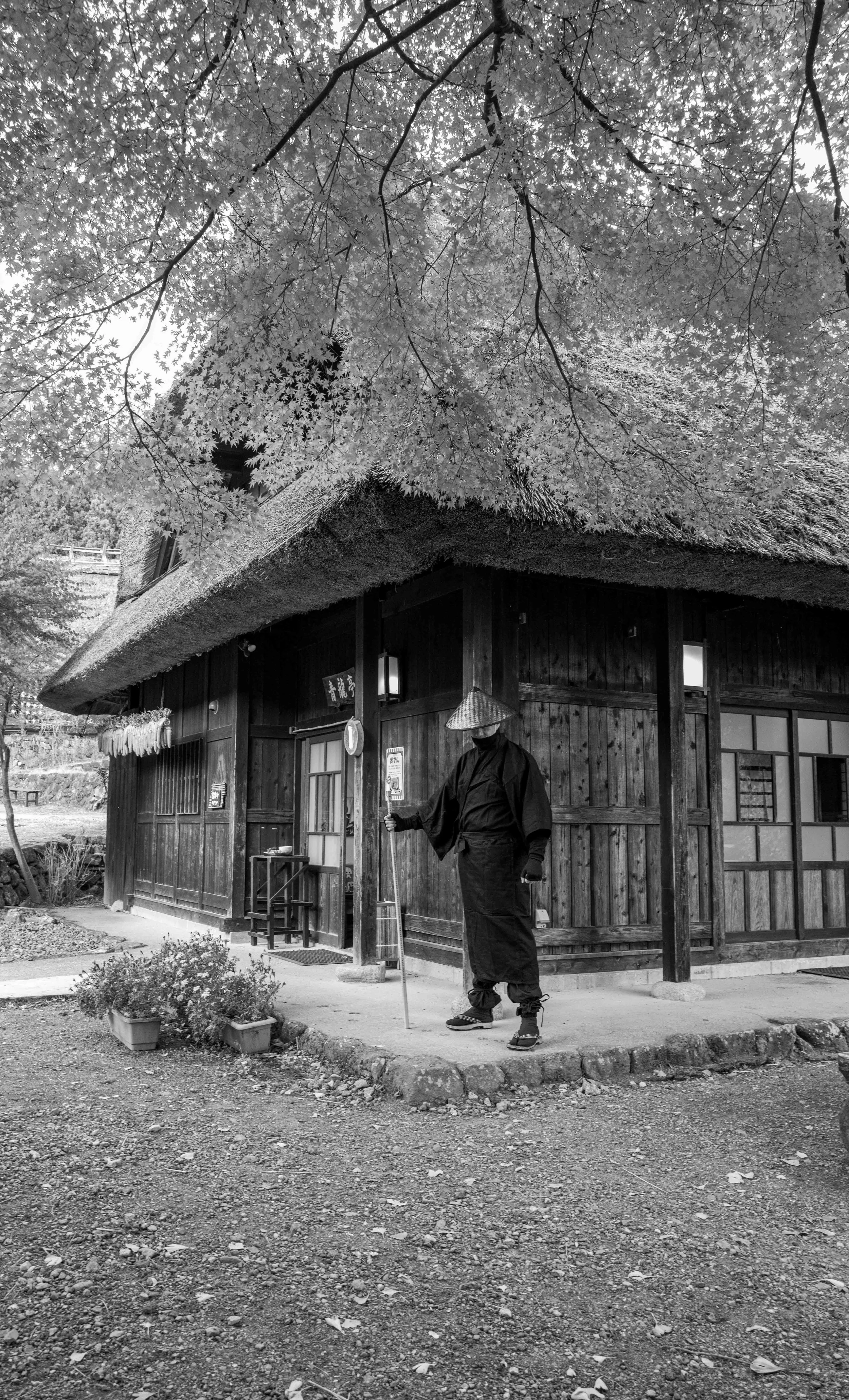 First village 1 Q2M.jpg