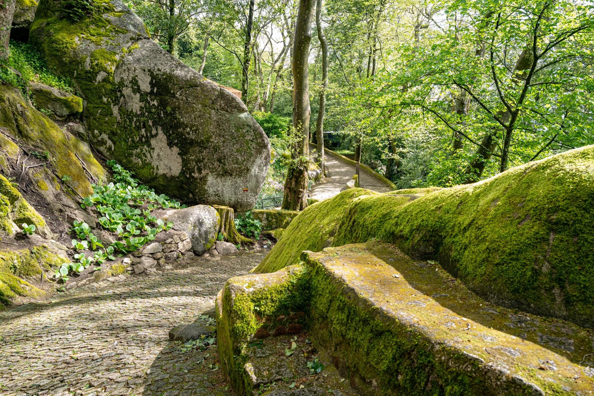 Sintra view 2 Q2-1.jpg