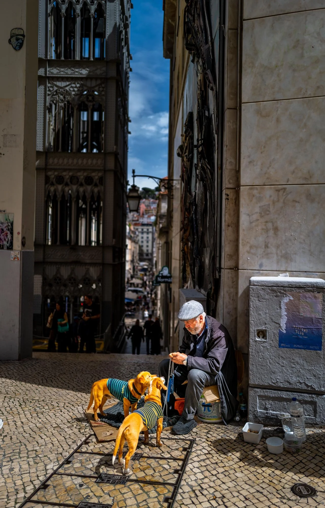 Lisboa Str View 66+ Q2-1.jpg