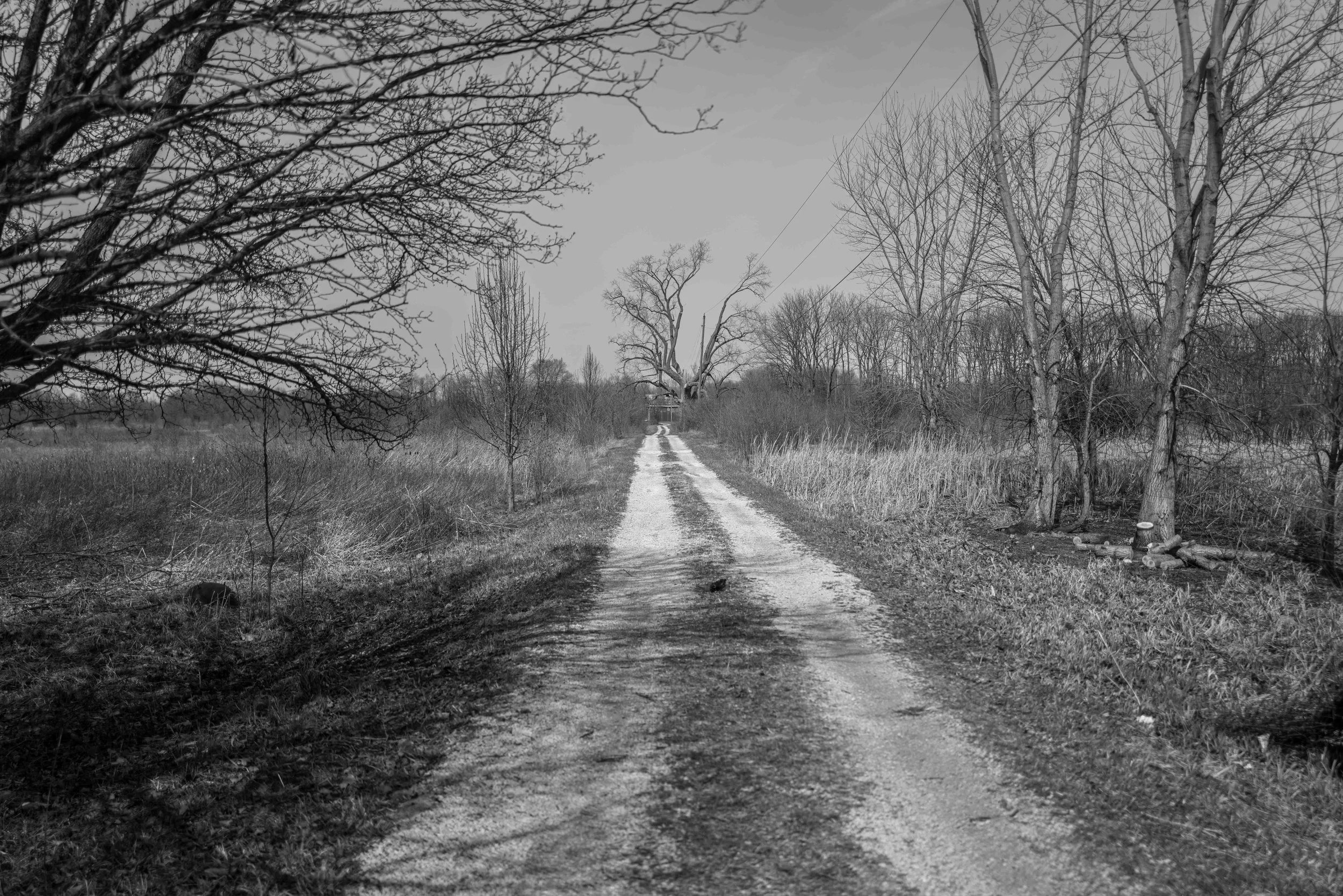 Muncie rural '26 27 Q2M.jpg