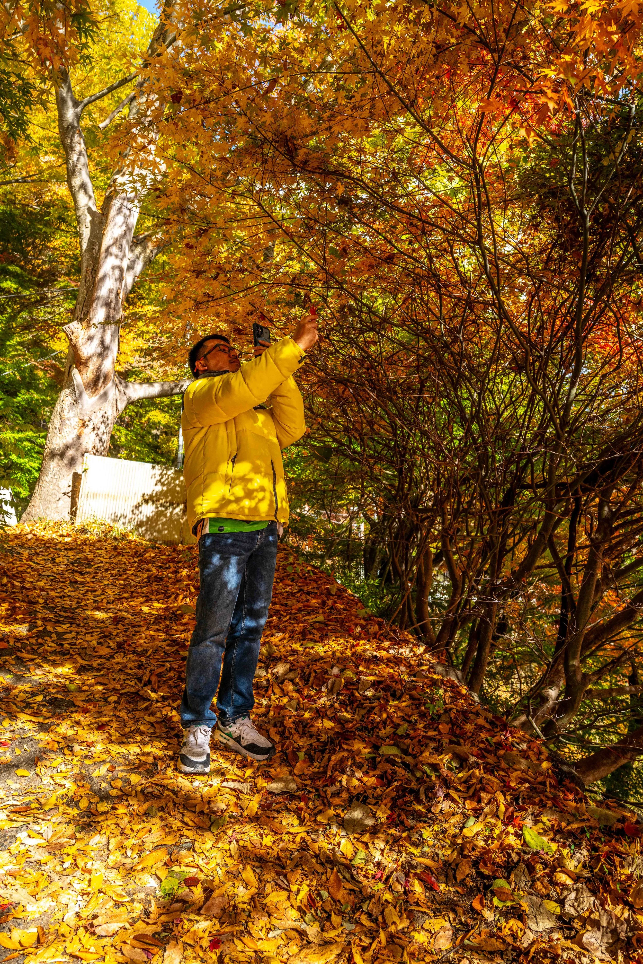 Mt Fuji Lake View 21 Q2.jpg