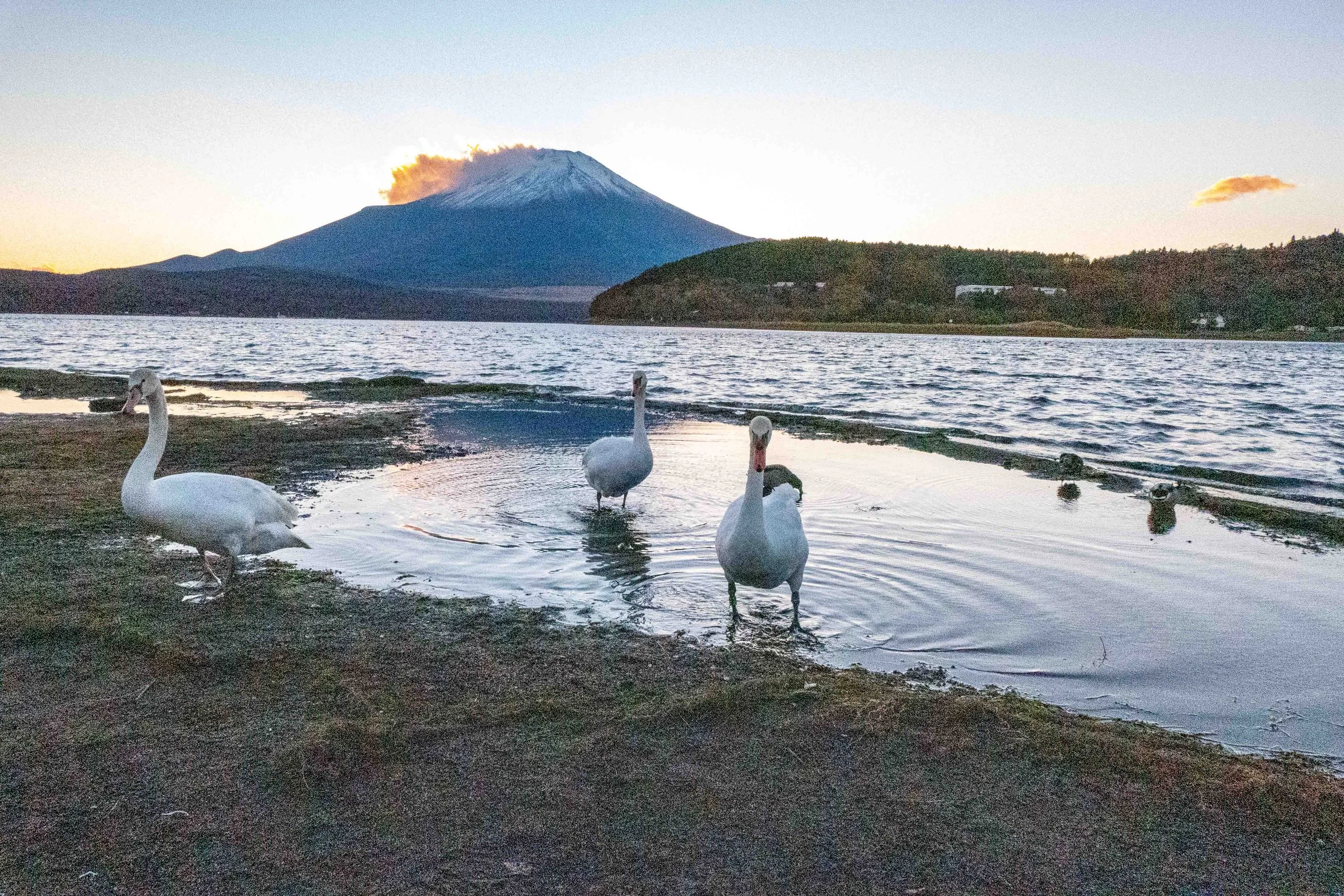 Mount Fuji  17 V-Lux 5.jpg