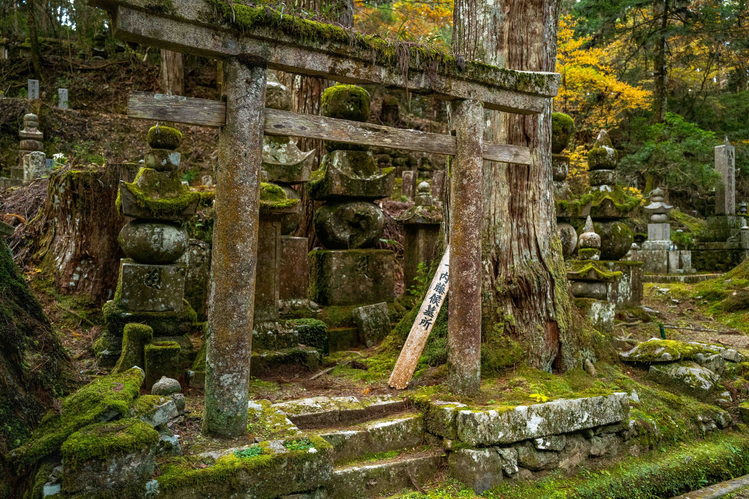  Monastery cemetary 6+ Q2.jpg