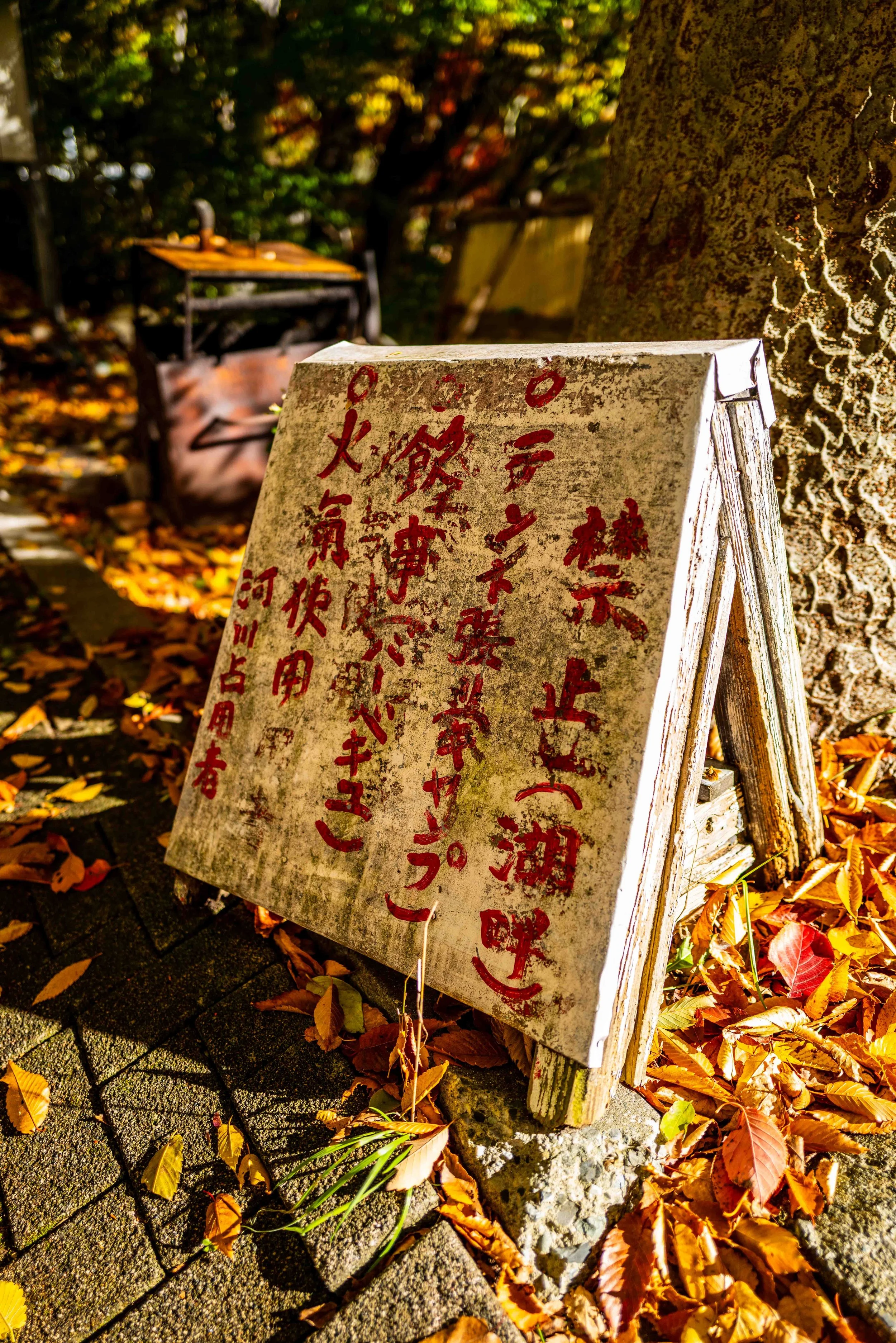 Mt Fuji Lake View 22 Q2.jpg
