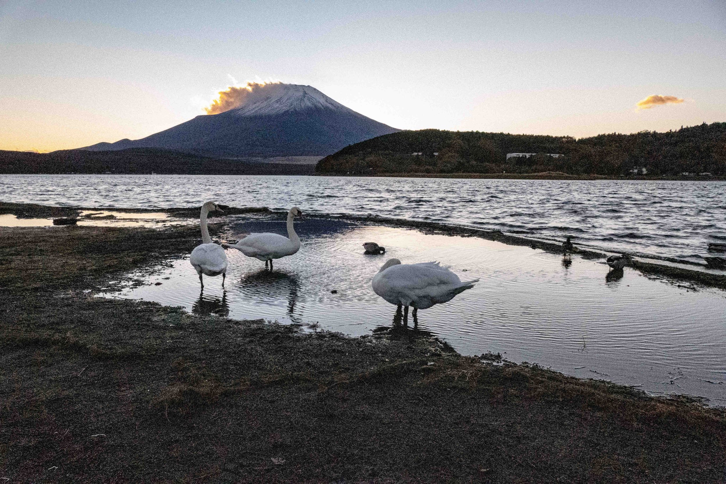 Mount Fuji  16 V-Lux 5.jpg