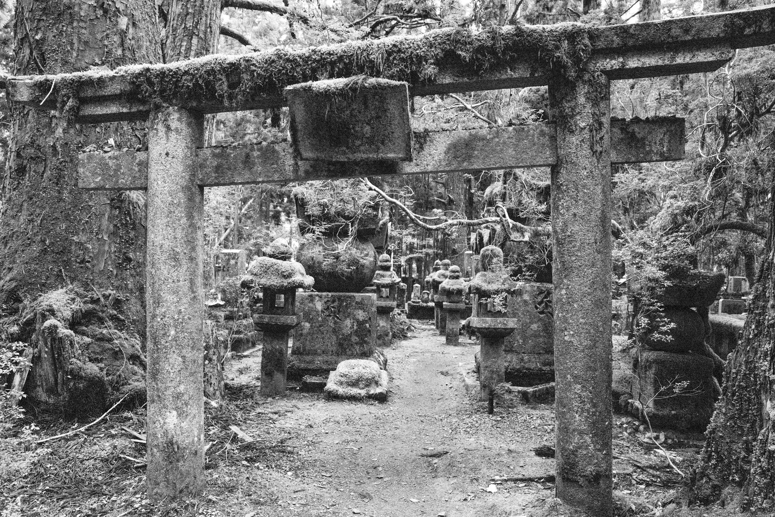  Monastery cemetary 1 Q2M.jpg