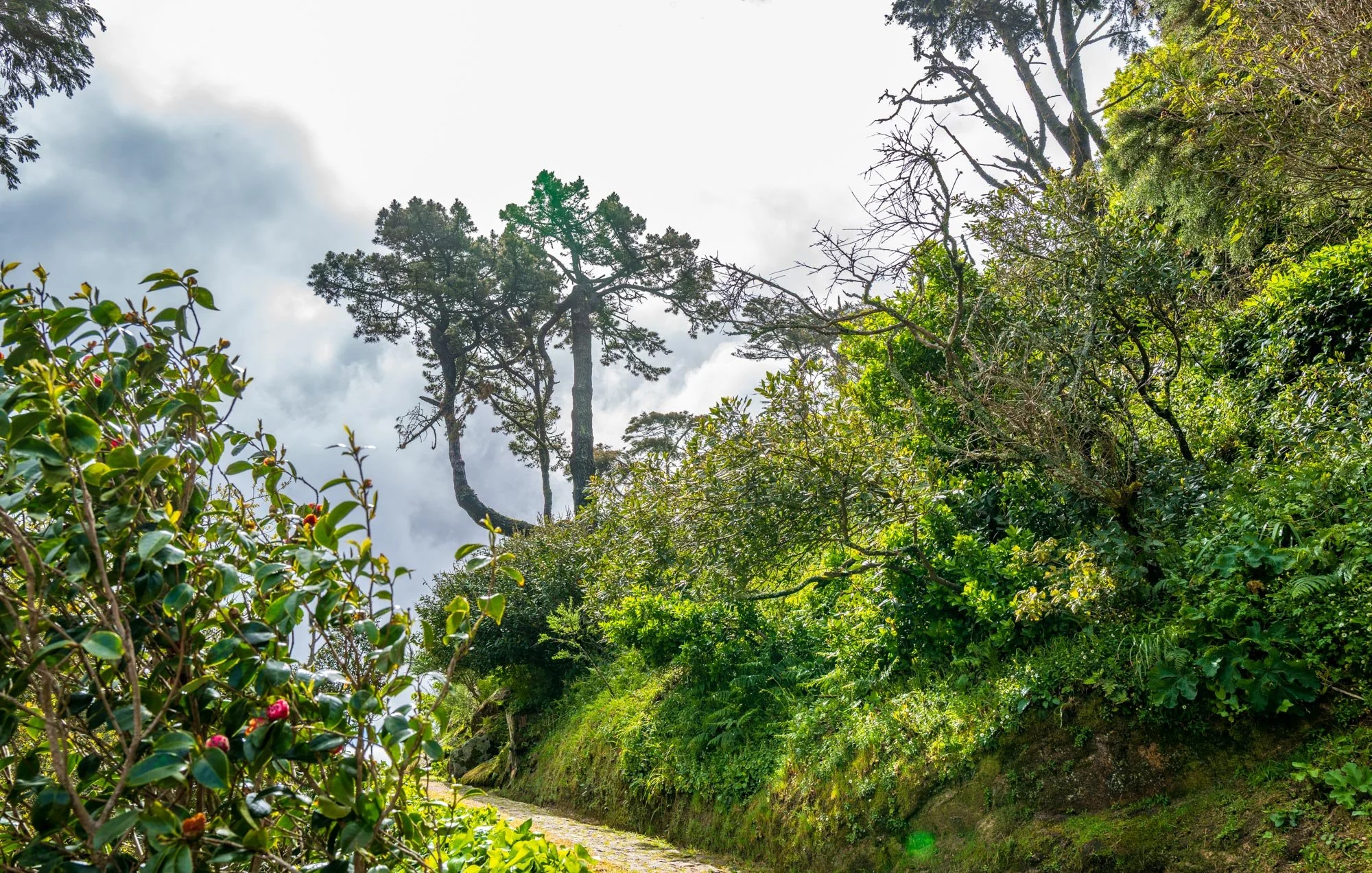 Sintra view 24+  Q2-1.jpg