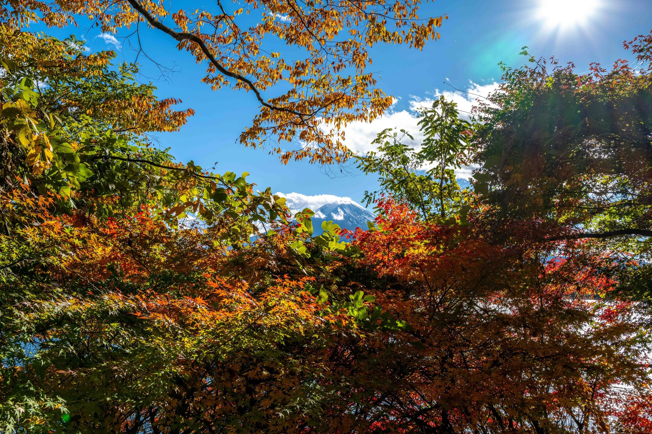 Mt Fuji Lake View 23 Q2.jpg