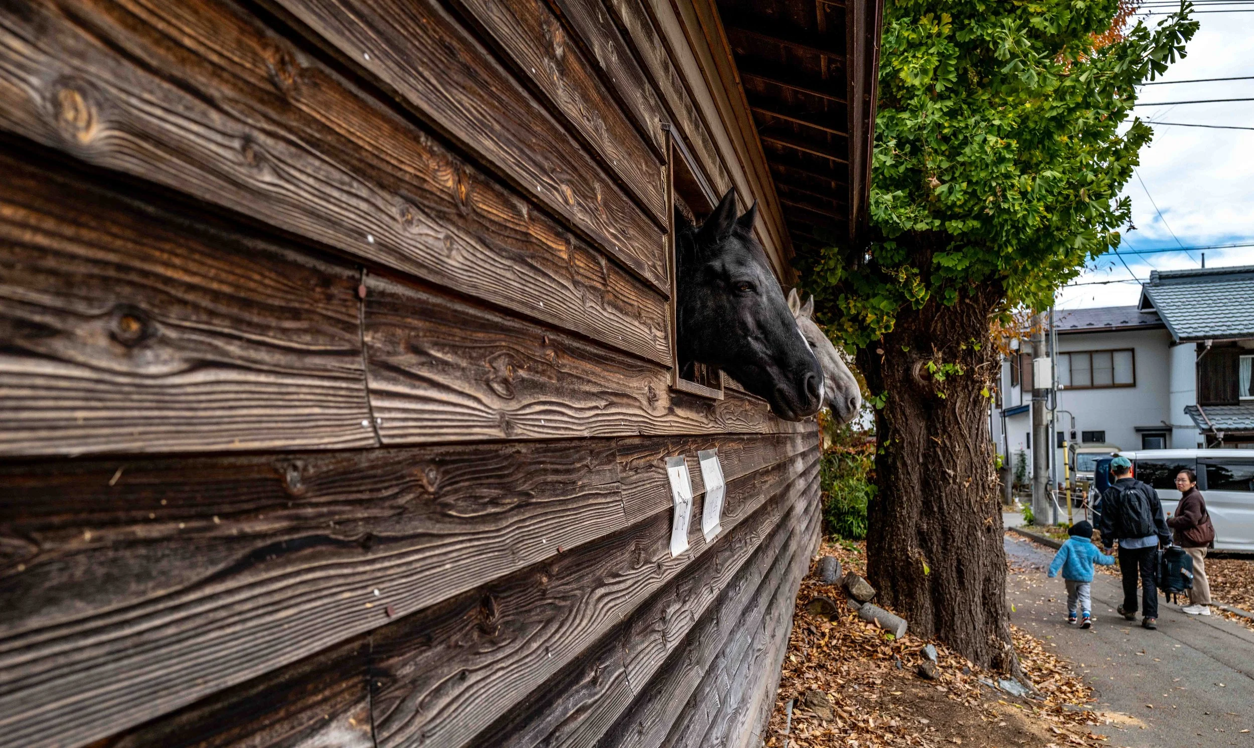 Fujiyoshida vil equis 6 Q2.jpg