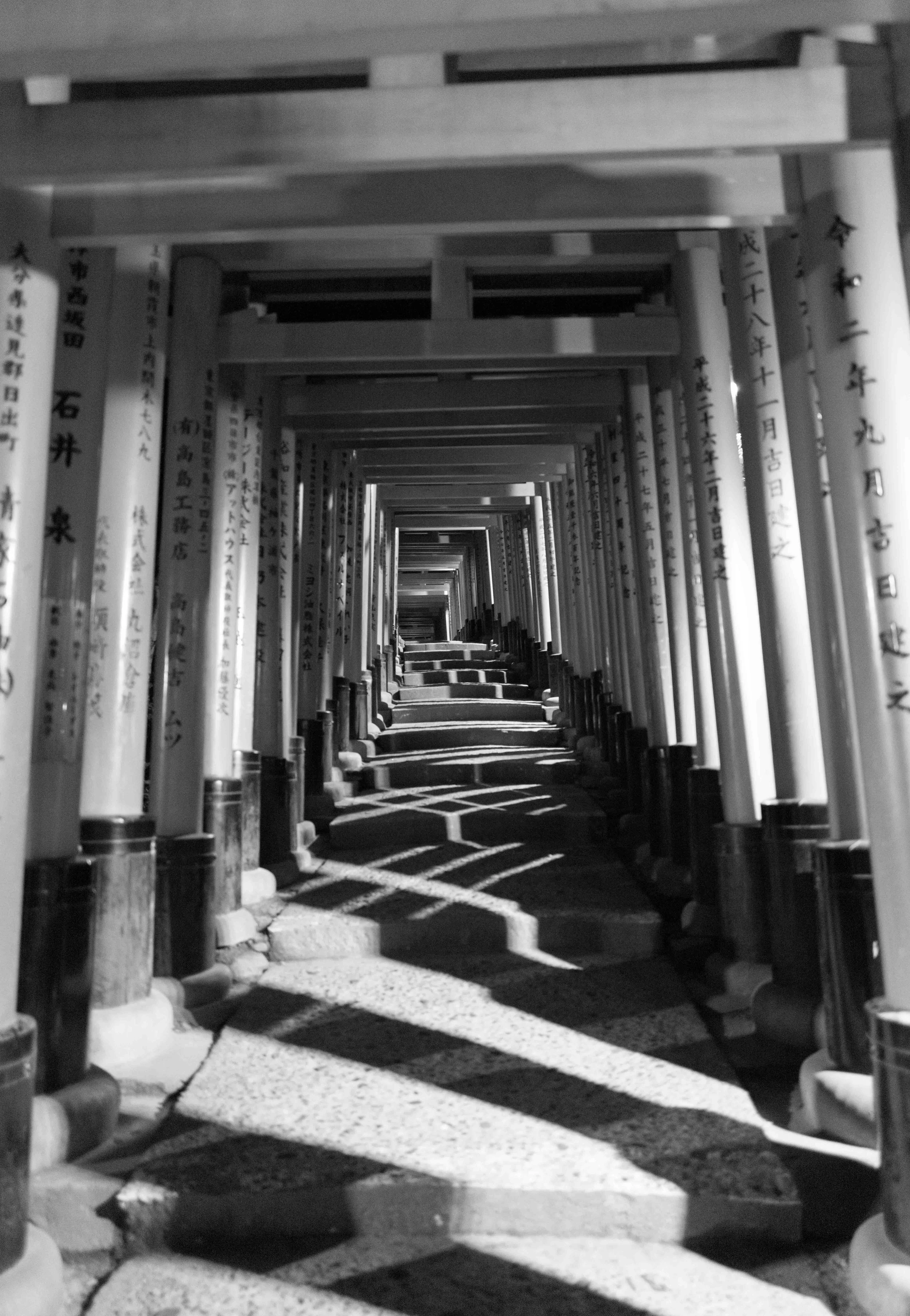 Kyoto Night Arch 7 Q2M.jpg