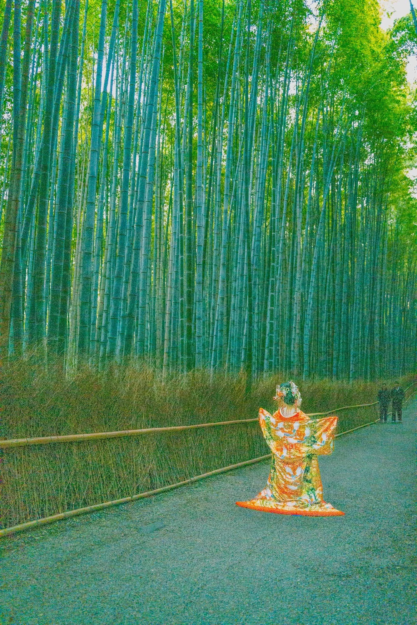 Kyoto Gisha 10+ Q2-1.jpg