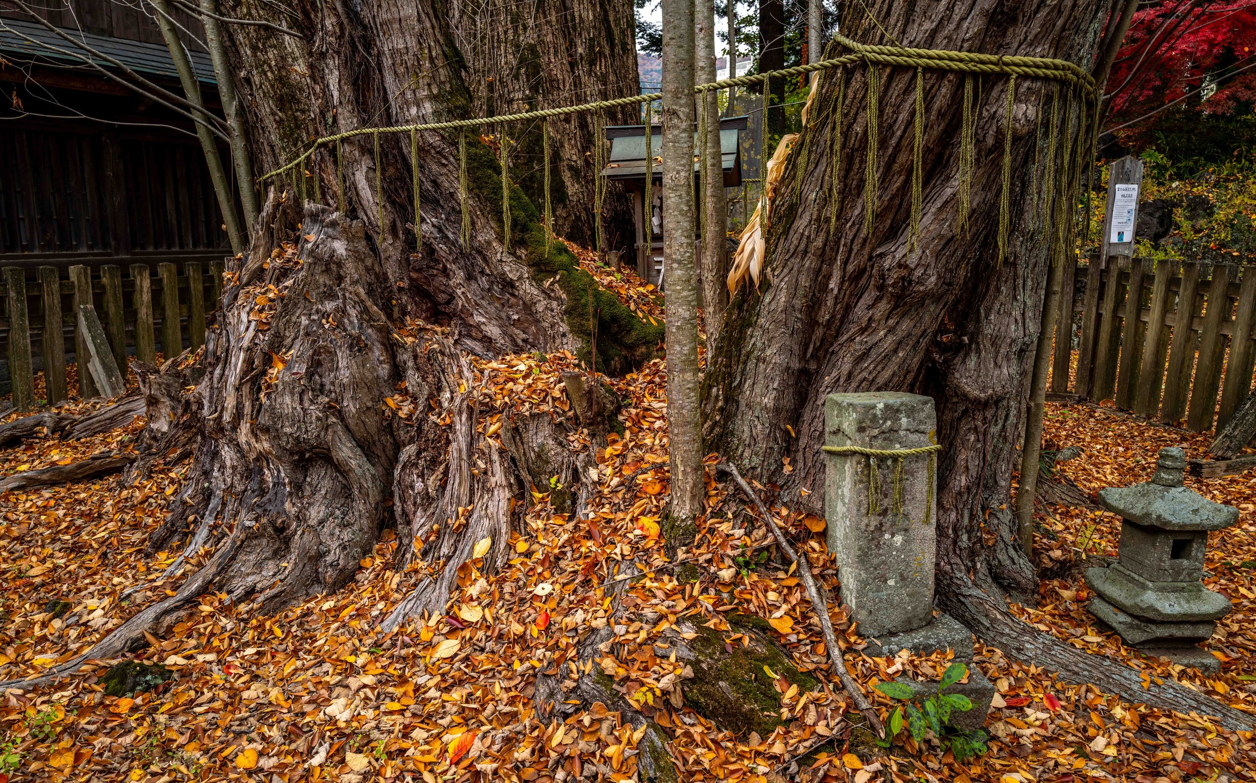 Fujiyoshida village 11 Q2.jpg