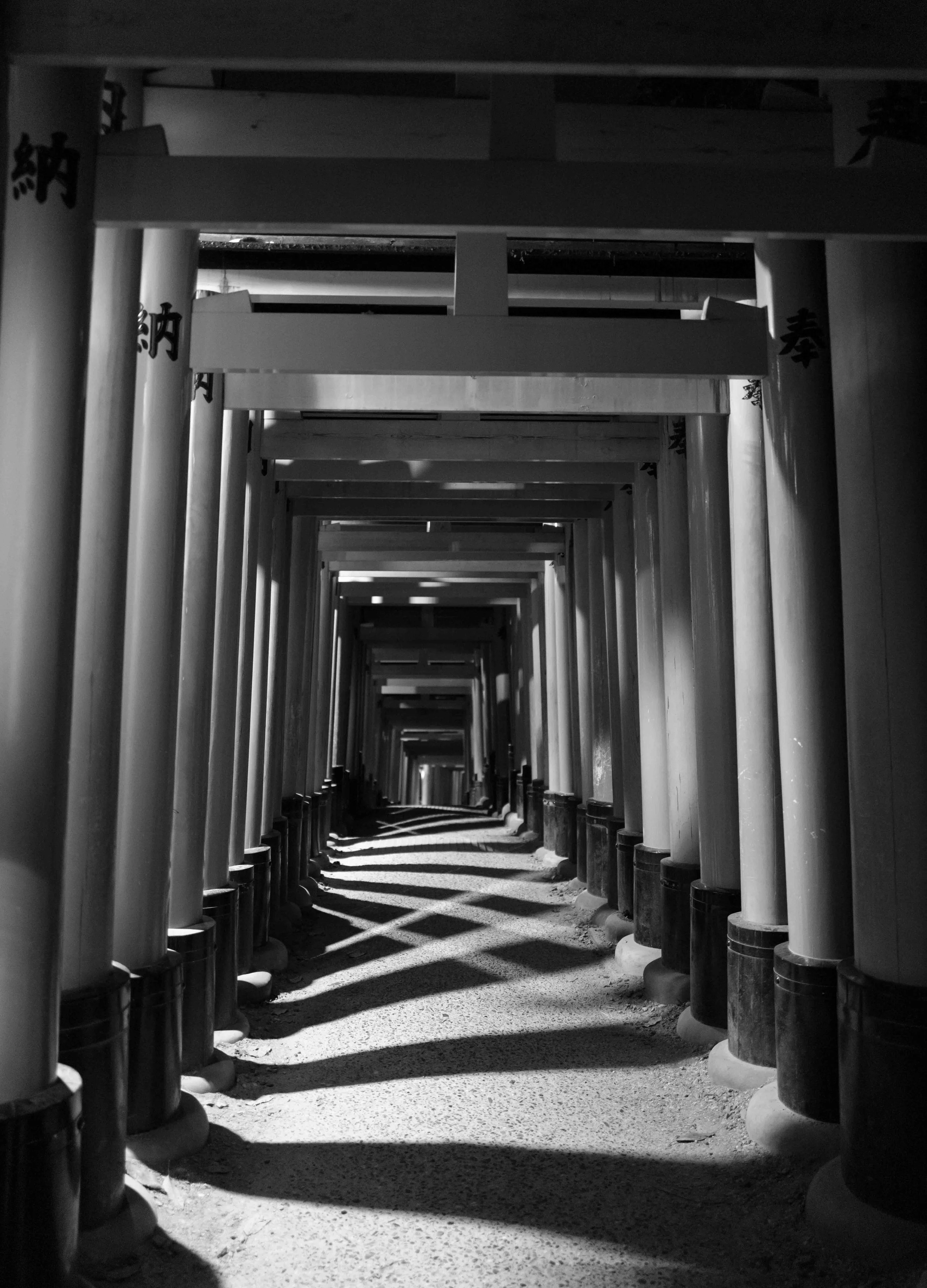 Kyoto Night Arch 5 Q2M.jpg