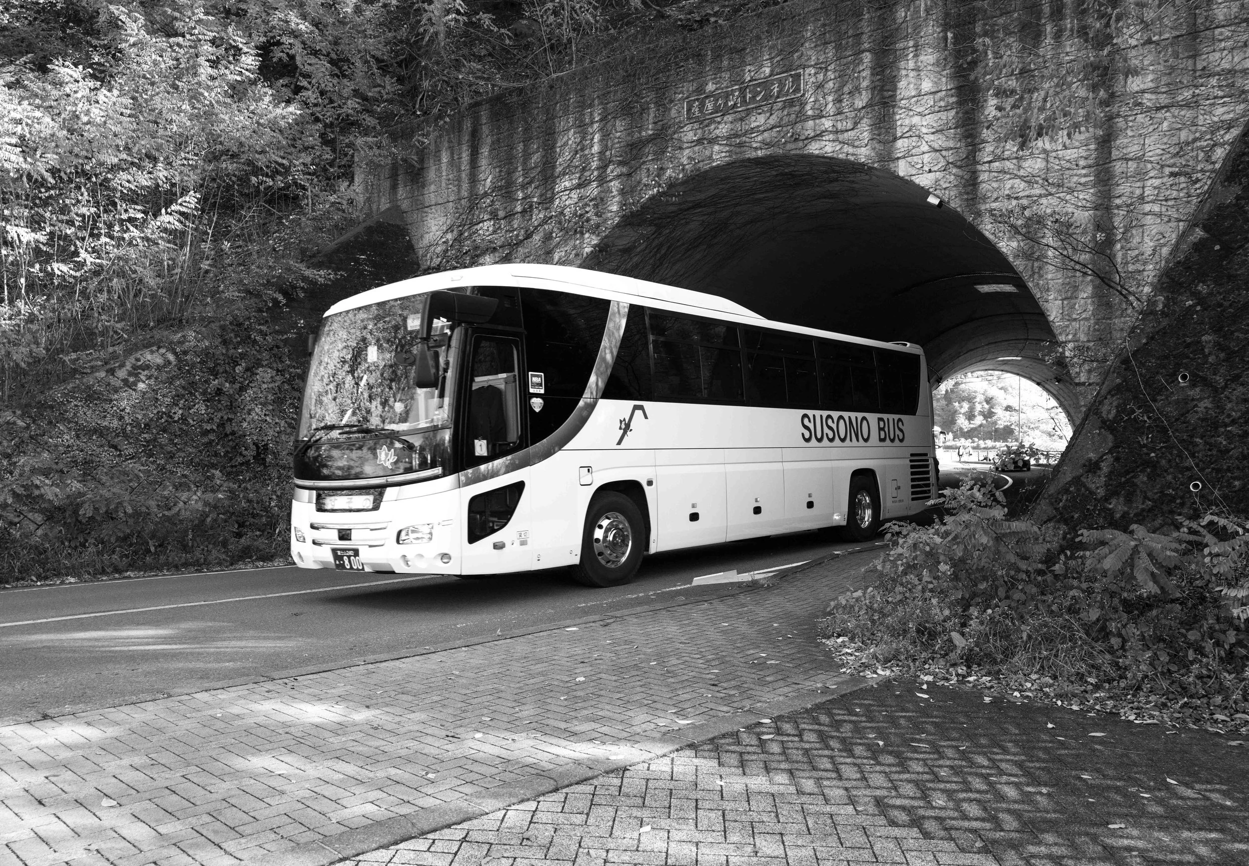 Mt Fuji Lake View 40 Q2.jpg