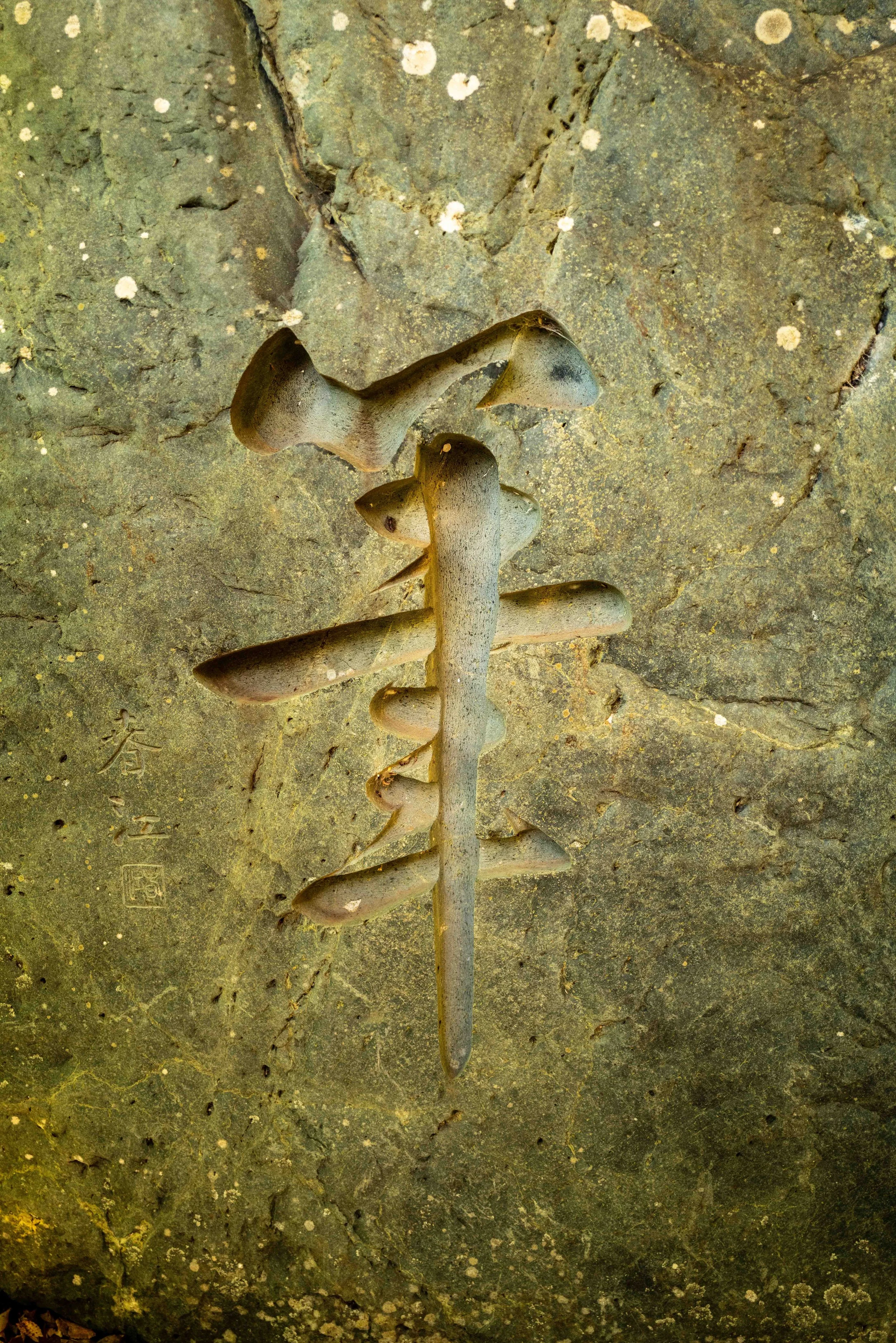 Mt Fuji Lake View 28 Q2.jpg