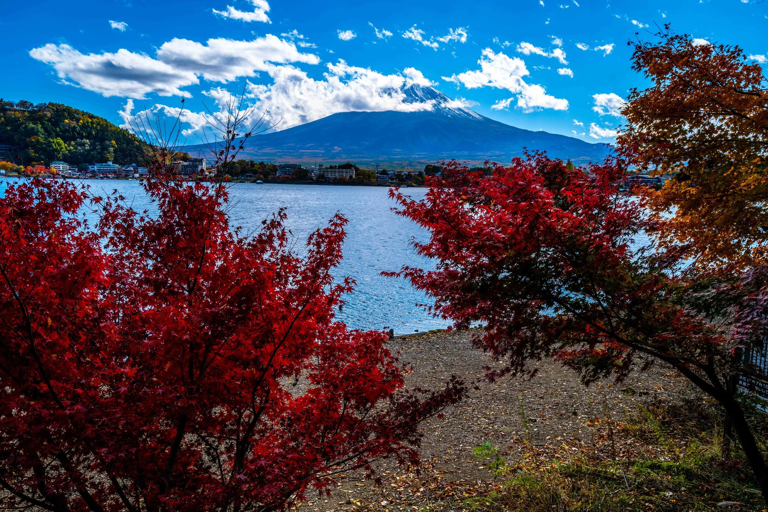 Mt Fuji view 2 Q2.jpg