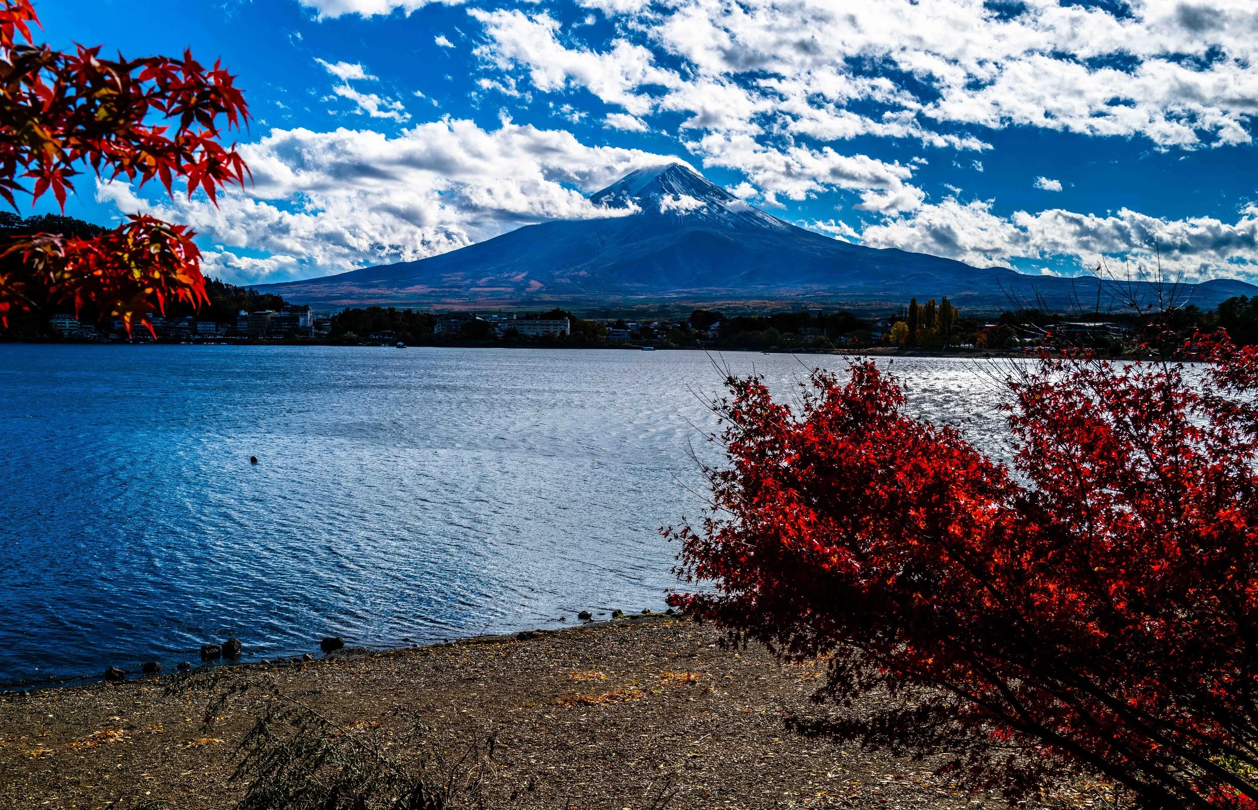 Mt Fuji Lake View 17 Q2.jpg