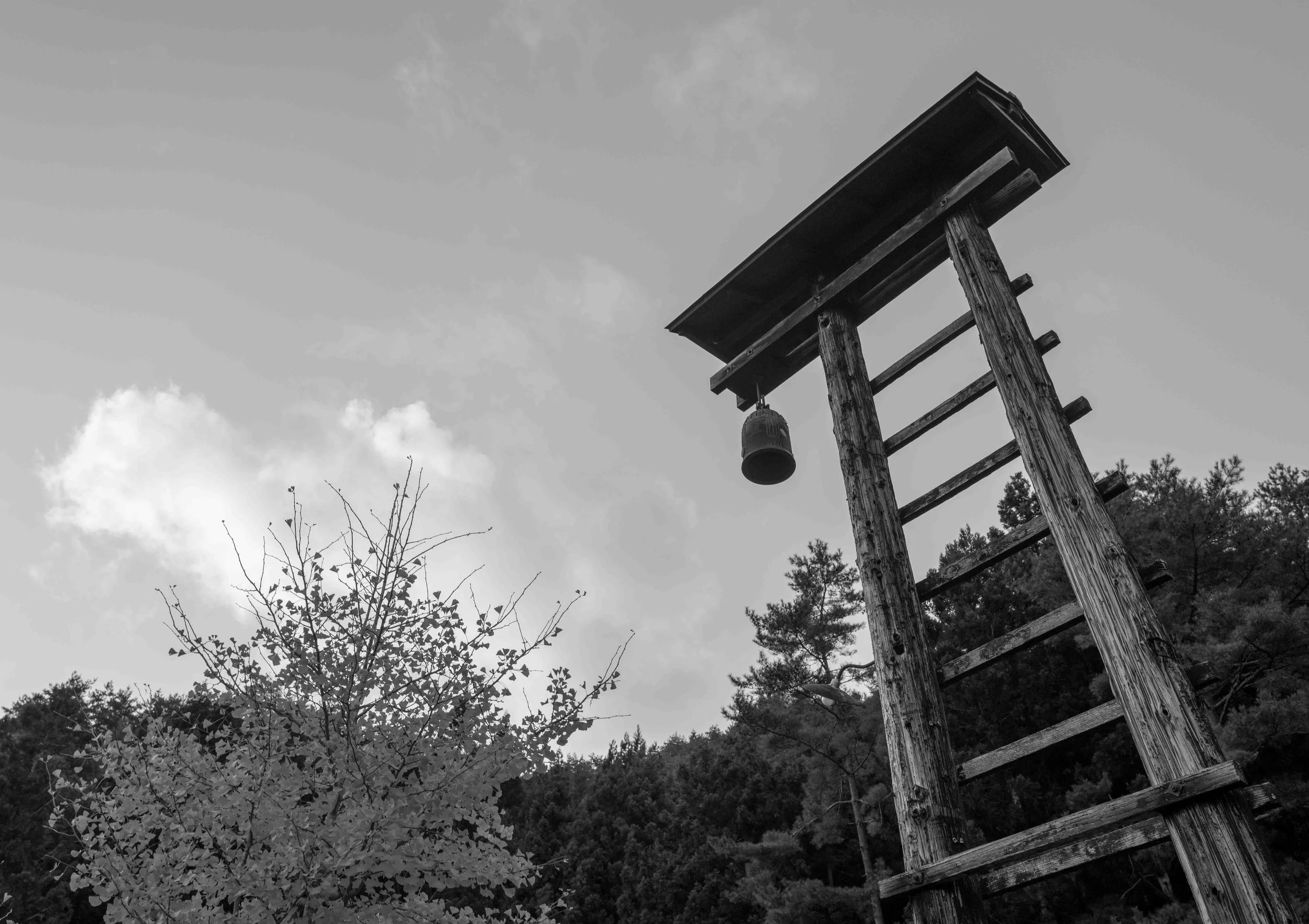 First village 10 Q2M.jpg