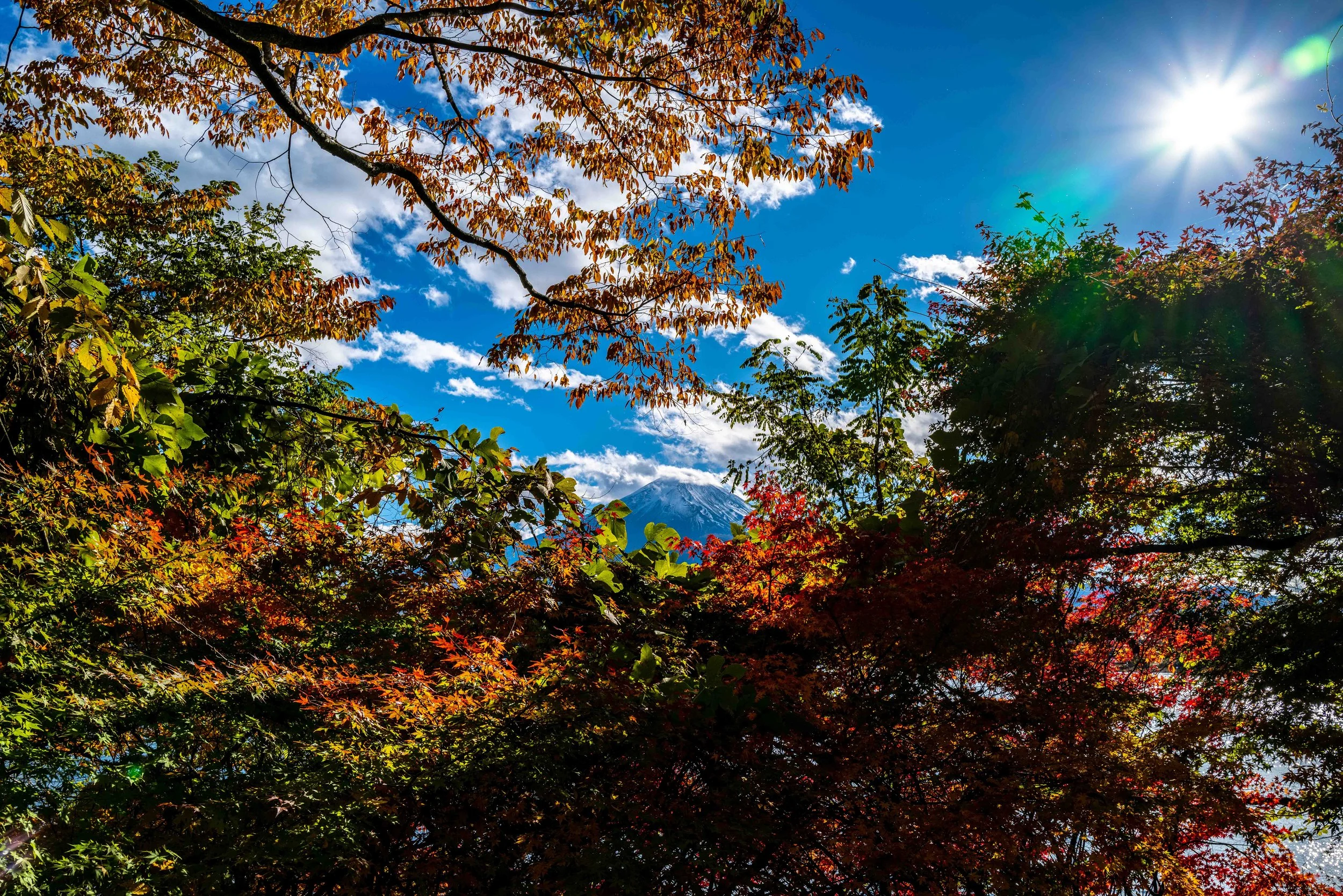 Mt Fuji Lake View 34 Q2.jpg