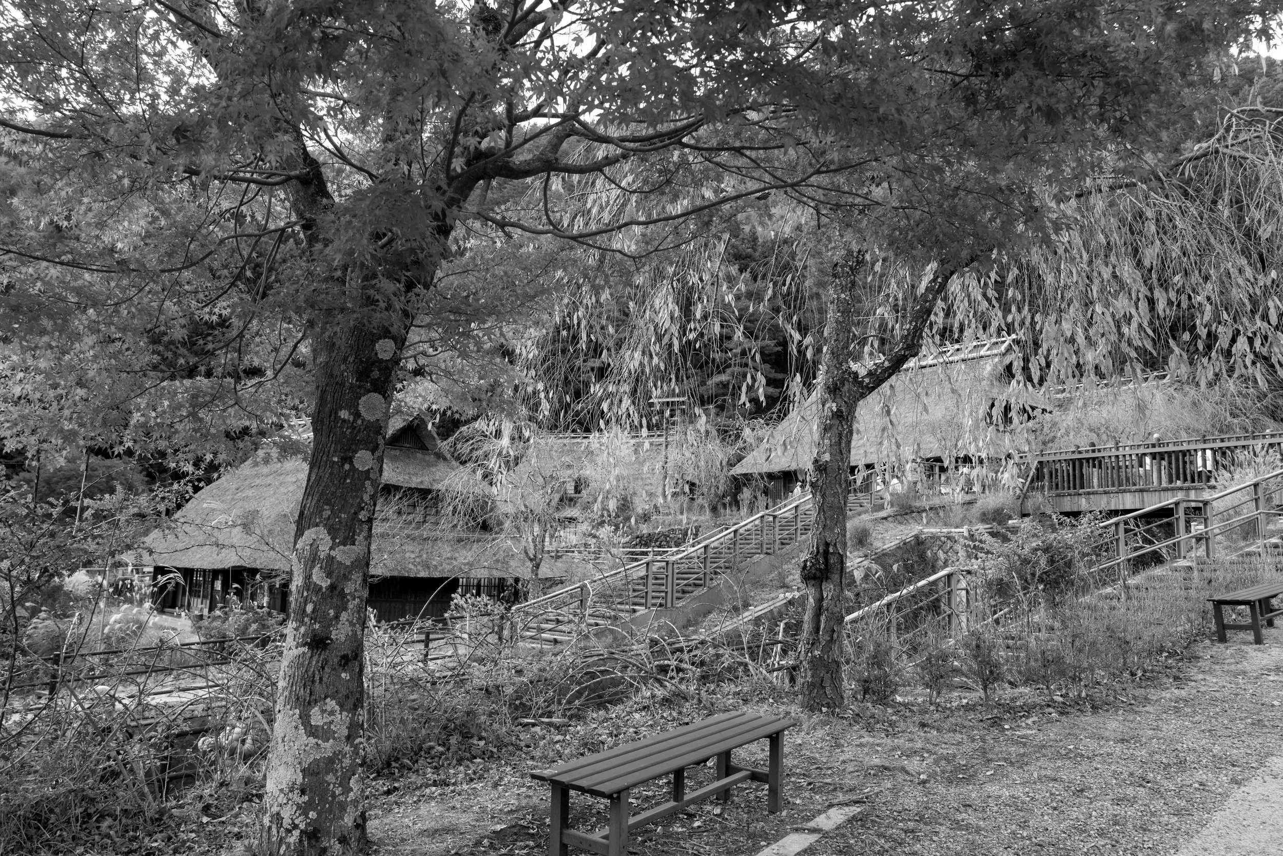 First village 7 Q2M.jpg