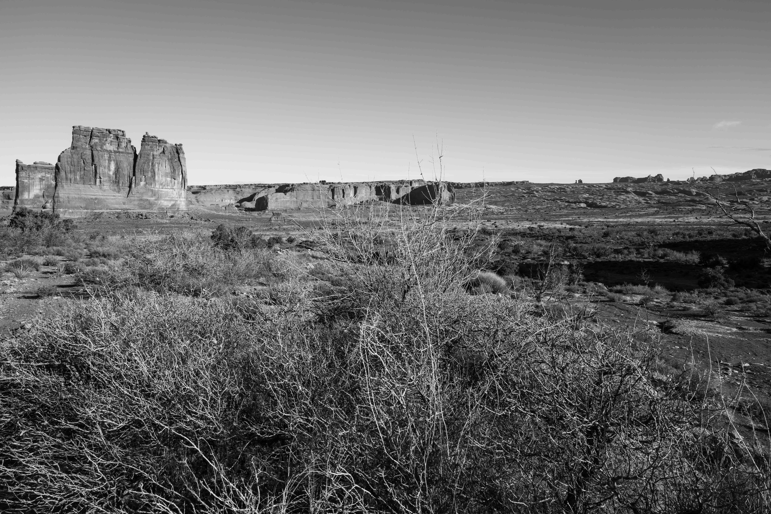 Arches park 2 Q2M.jpg