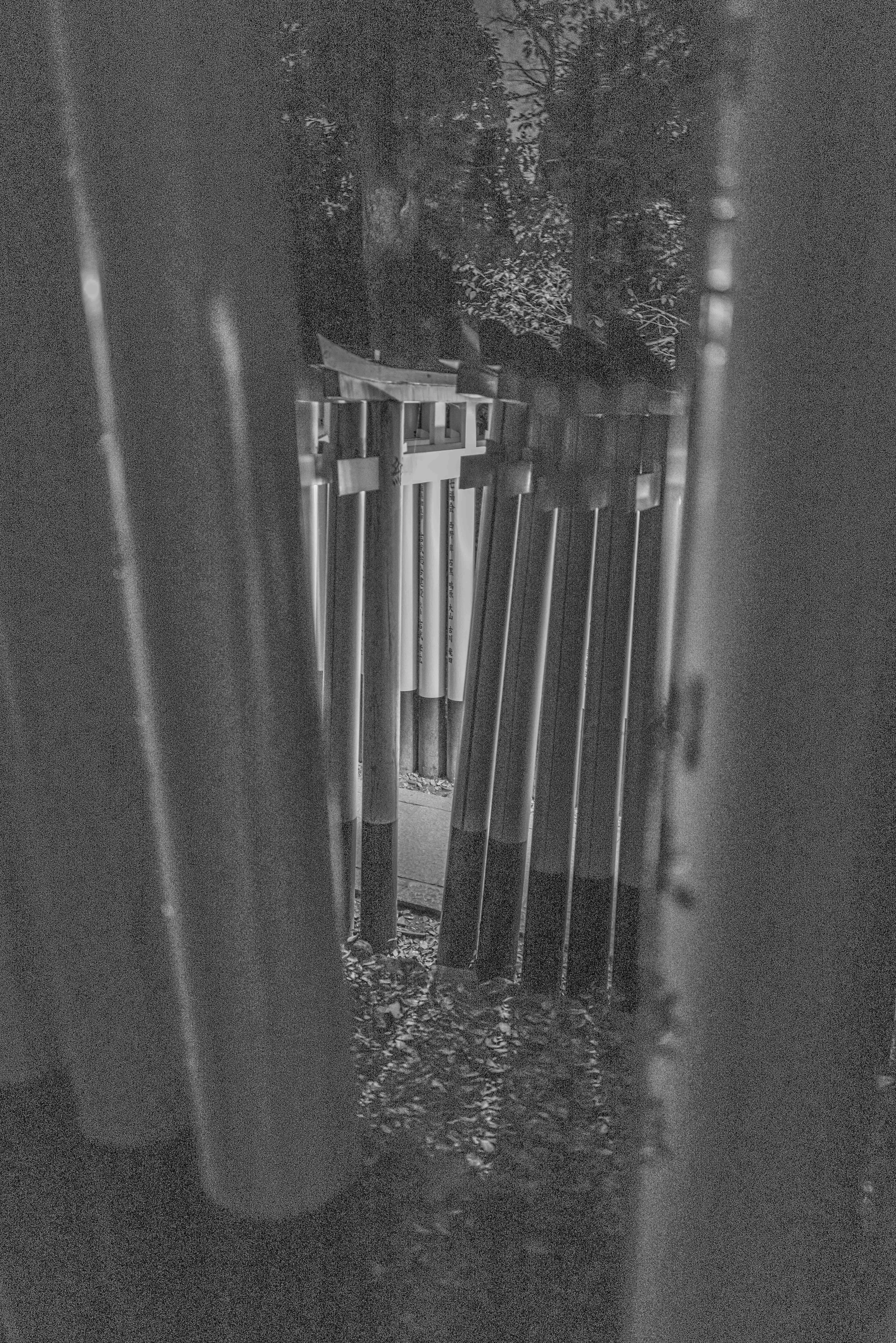 Kyoto  Arch Temp 16 Q2M.jpg