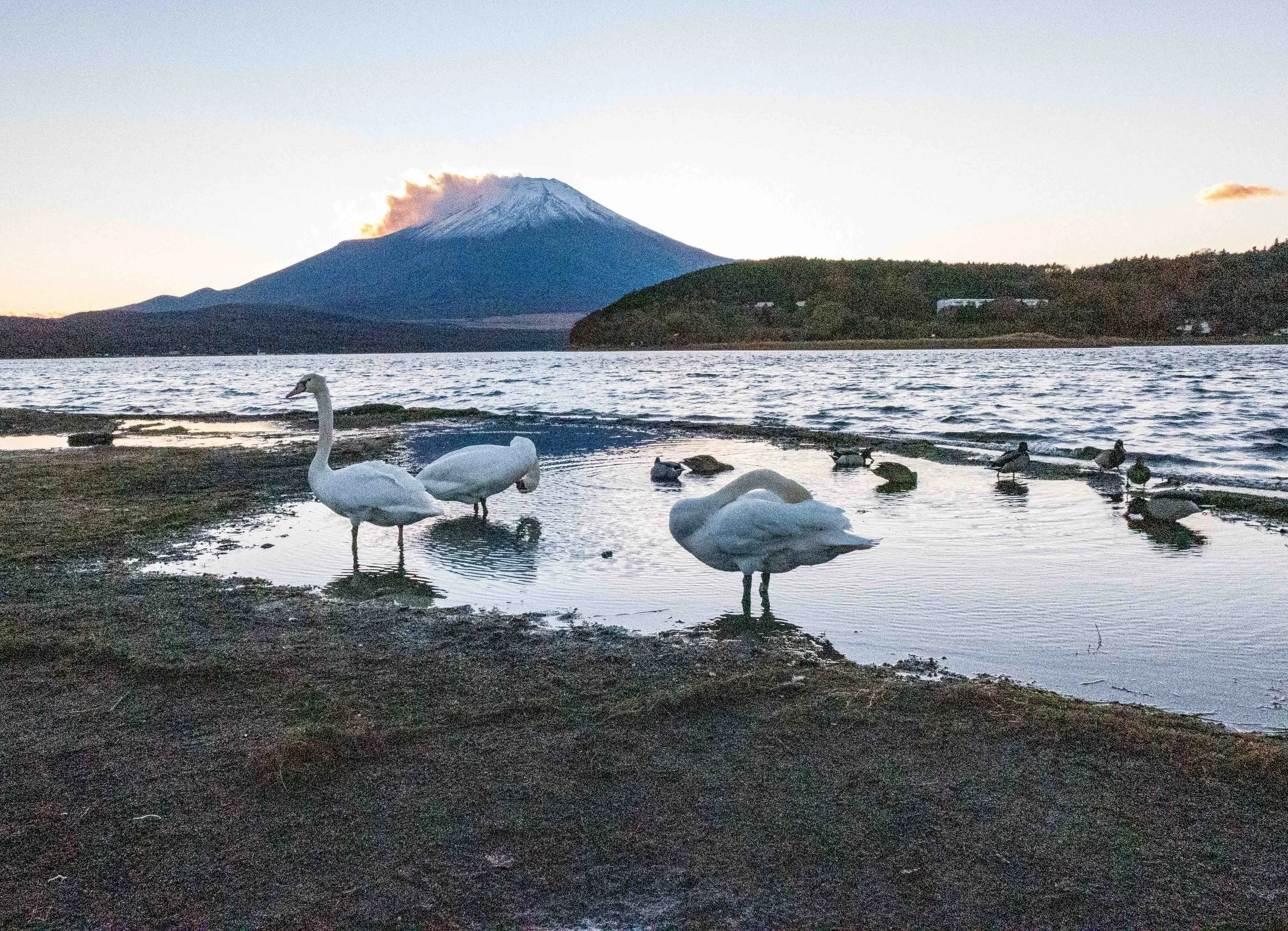 Mount Fuji  15 V-Lux 5.jpg