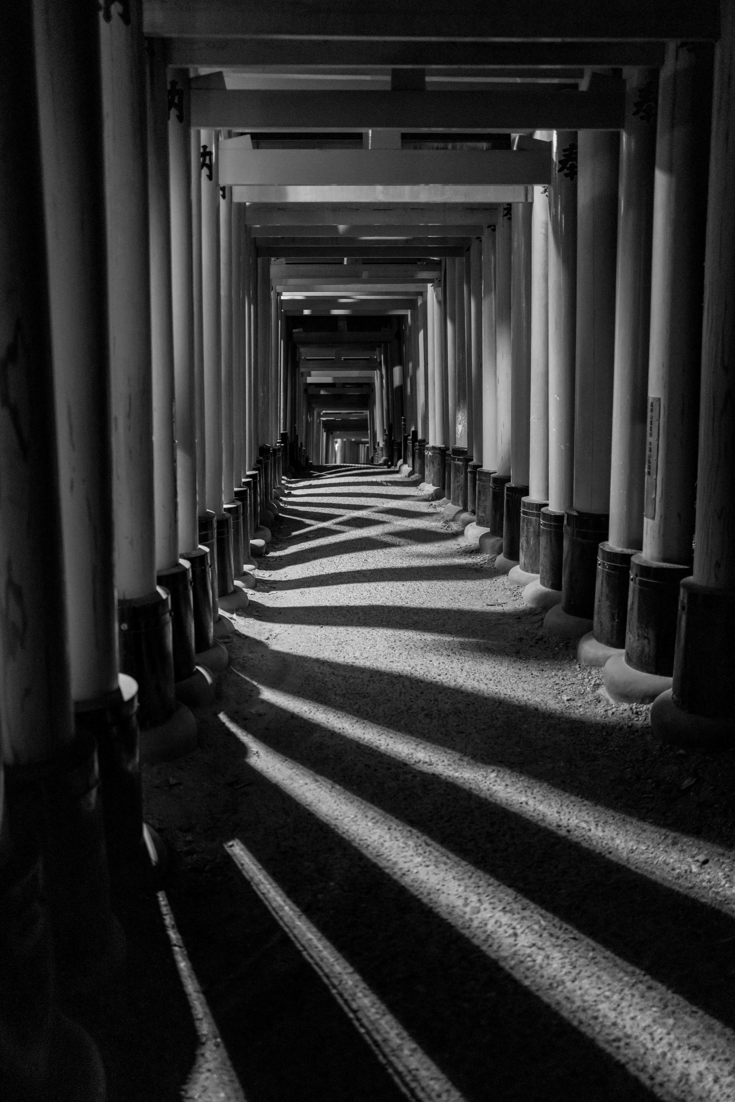 Kyoto Night Arch 3 Q2M.jpg